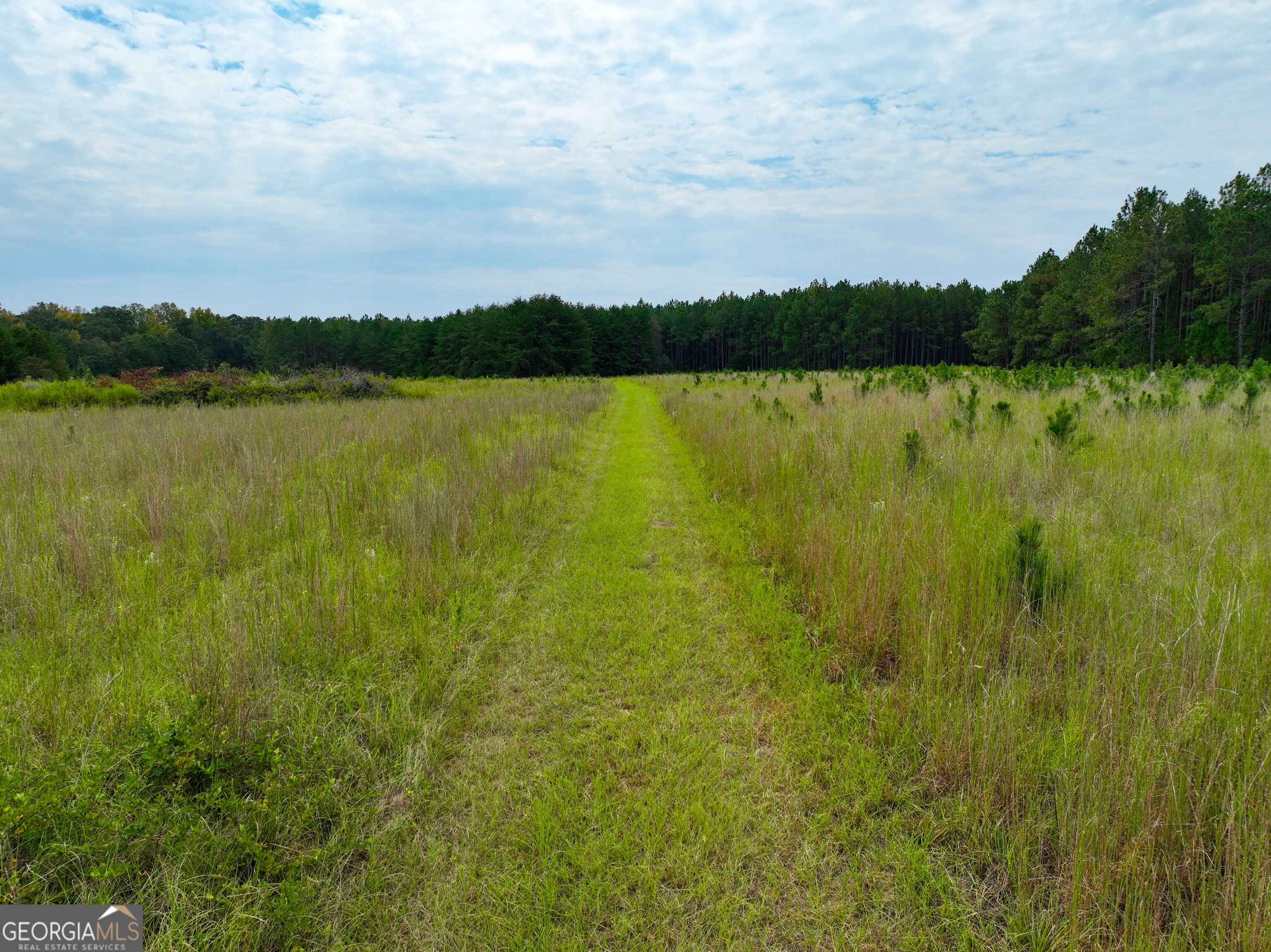 5889 Hammock Road Property Photo 10