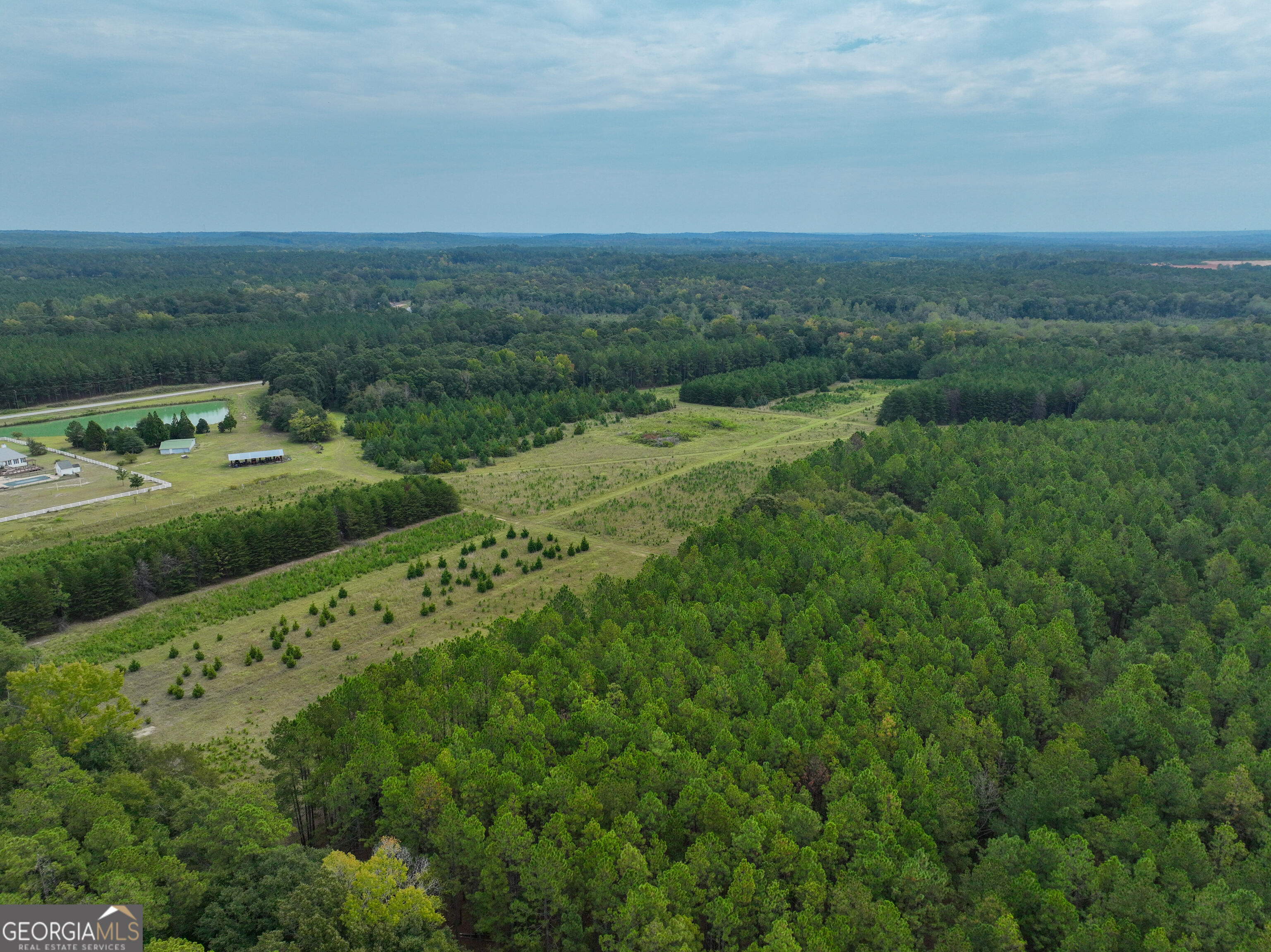 5889 Hammock Road Property Photo 11