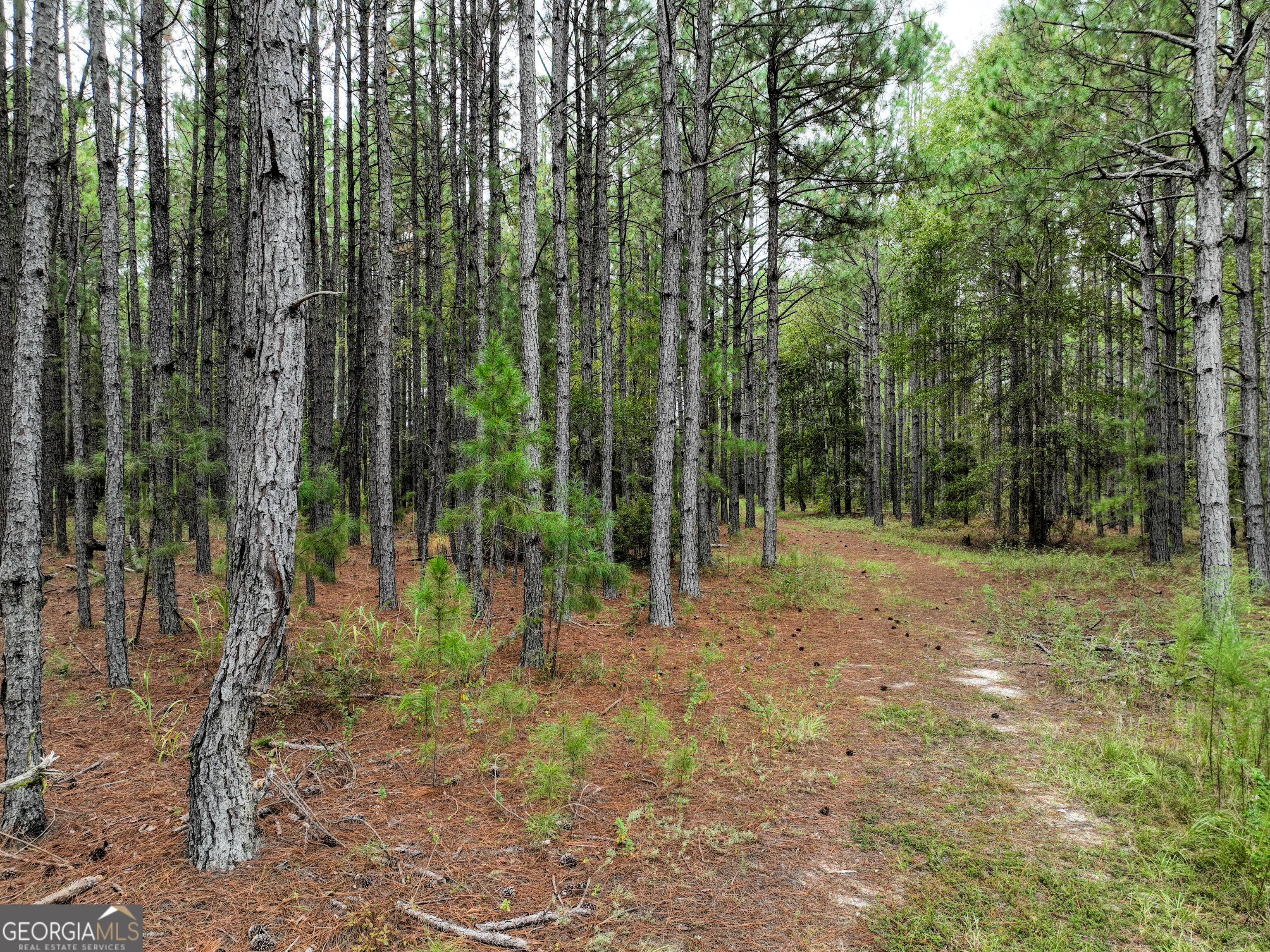 5889 Hammock Road Property Photo 12