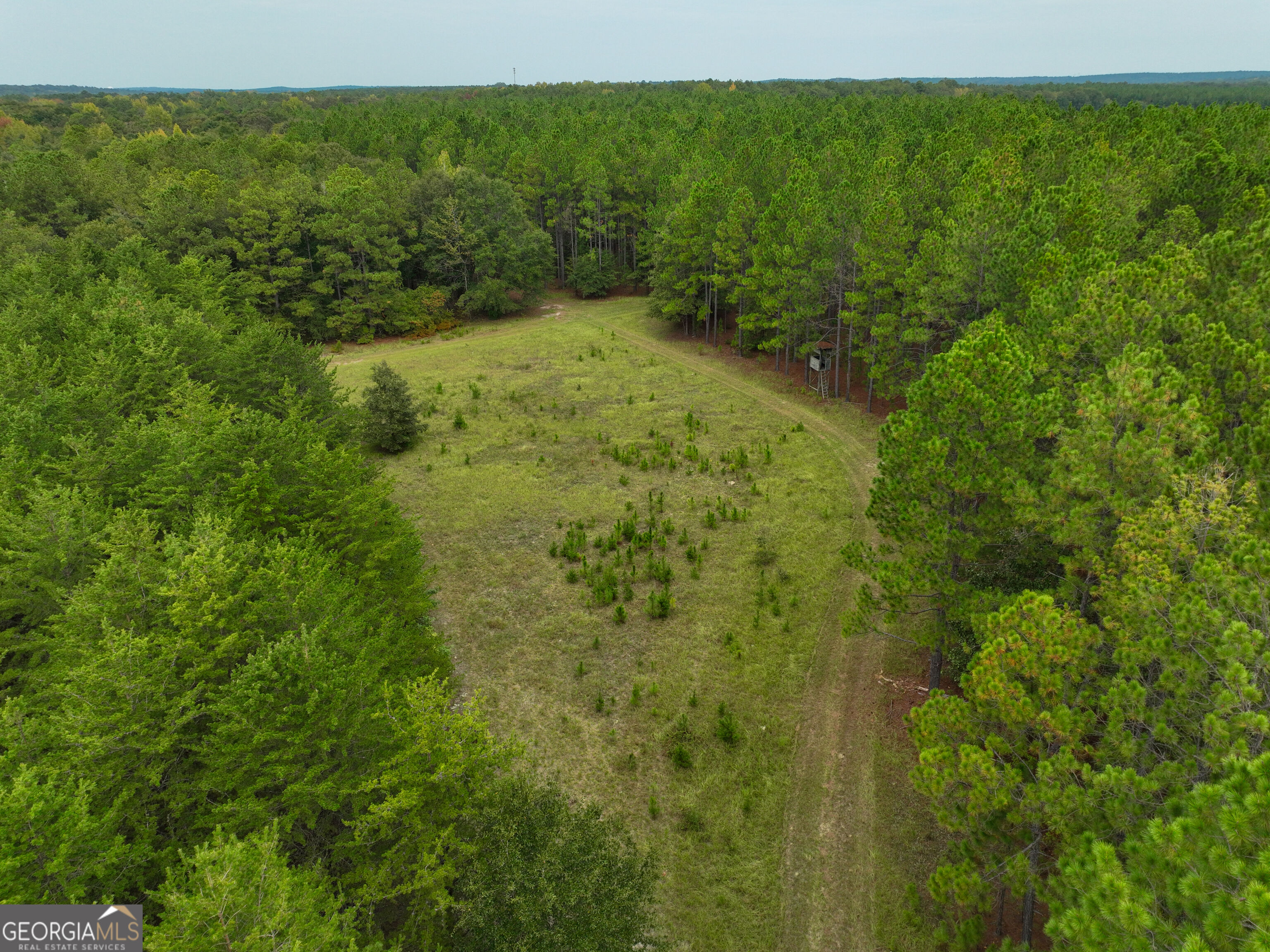 5889 Hammock Road Property Photo 14