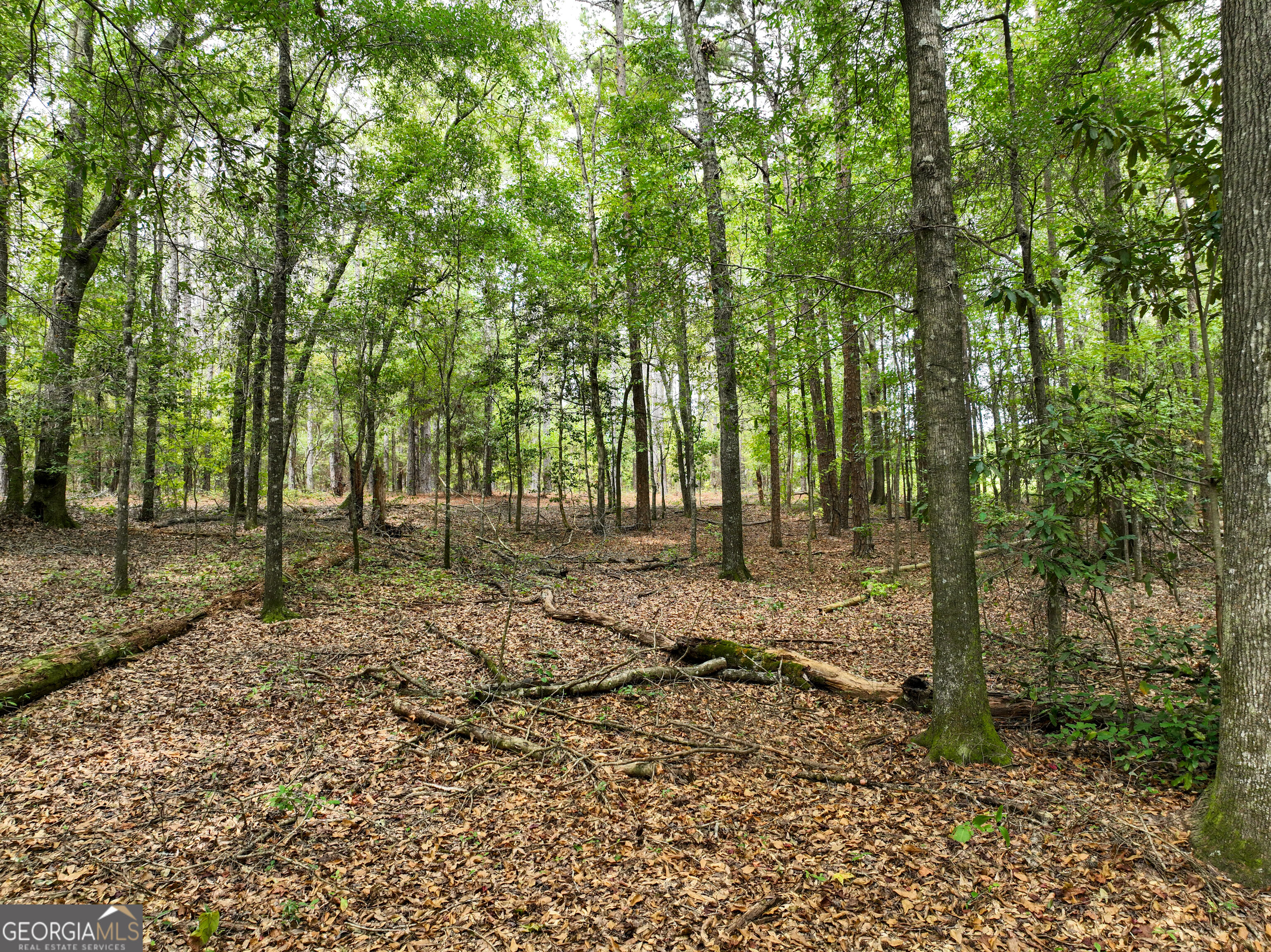 5889 Hammock Road Property Photo 19