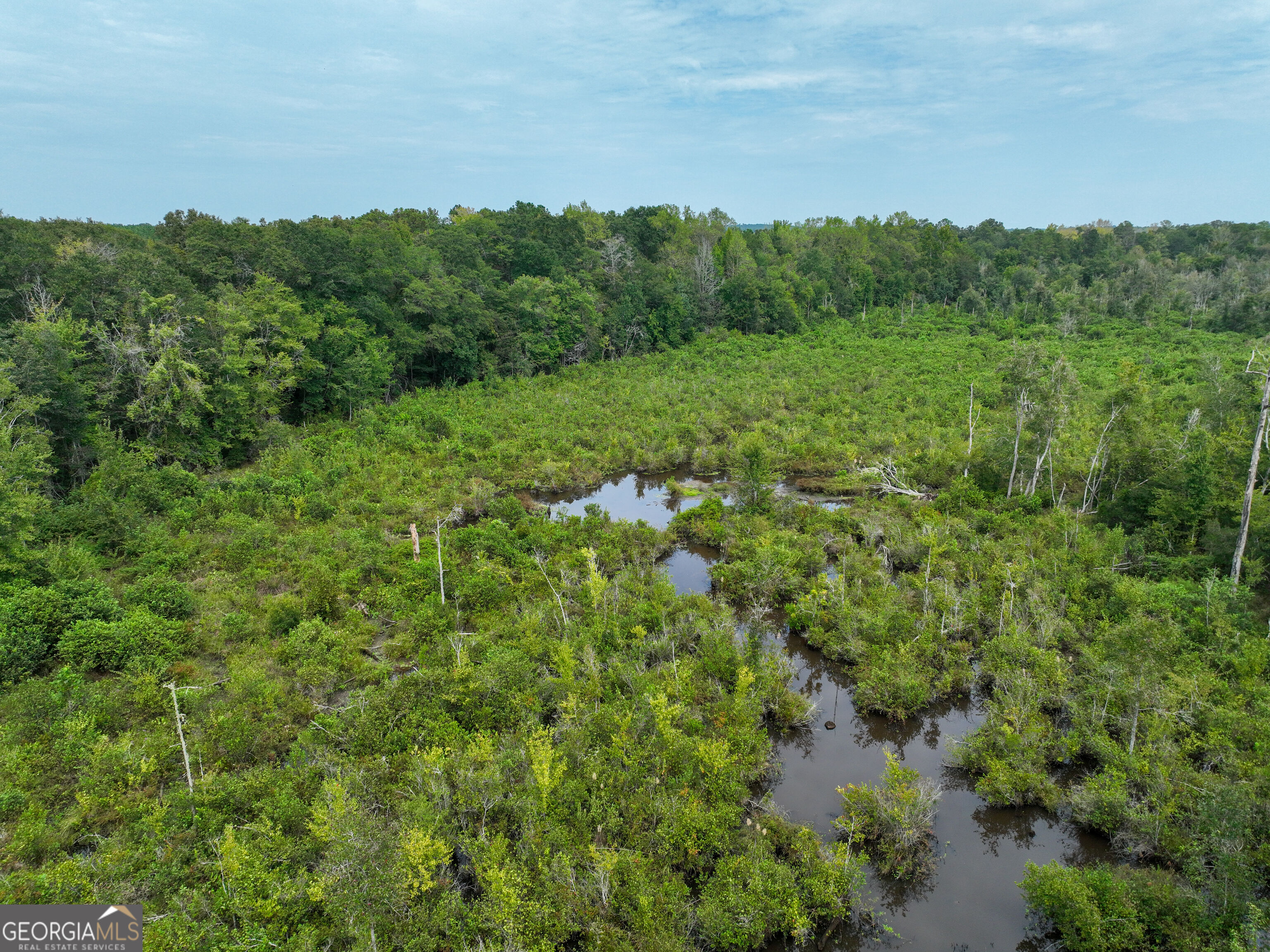 5889 Hammock Road Property Photo 20
