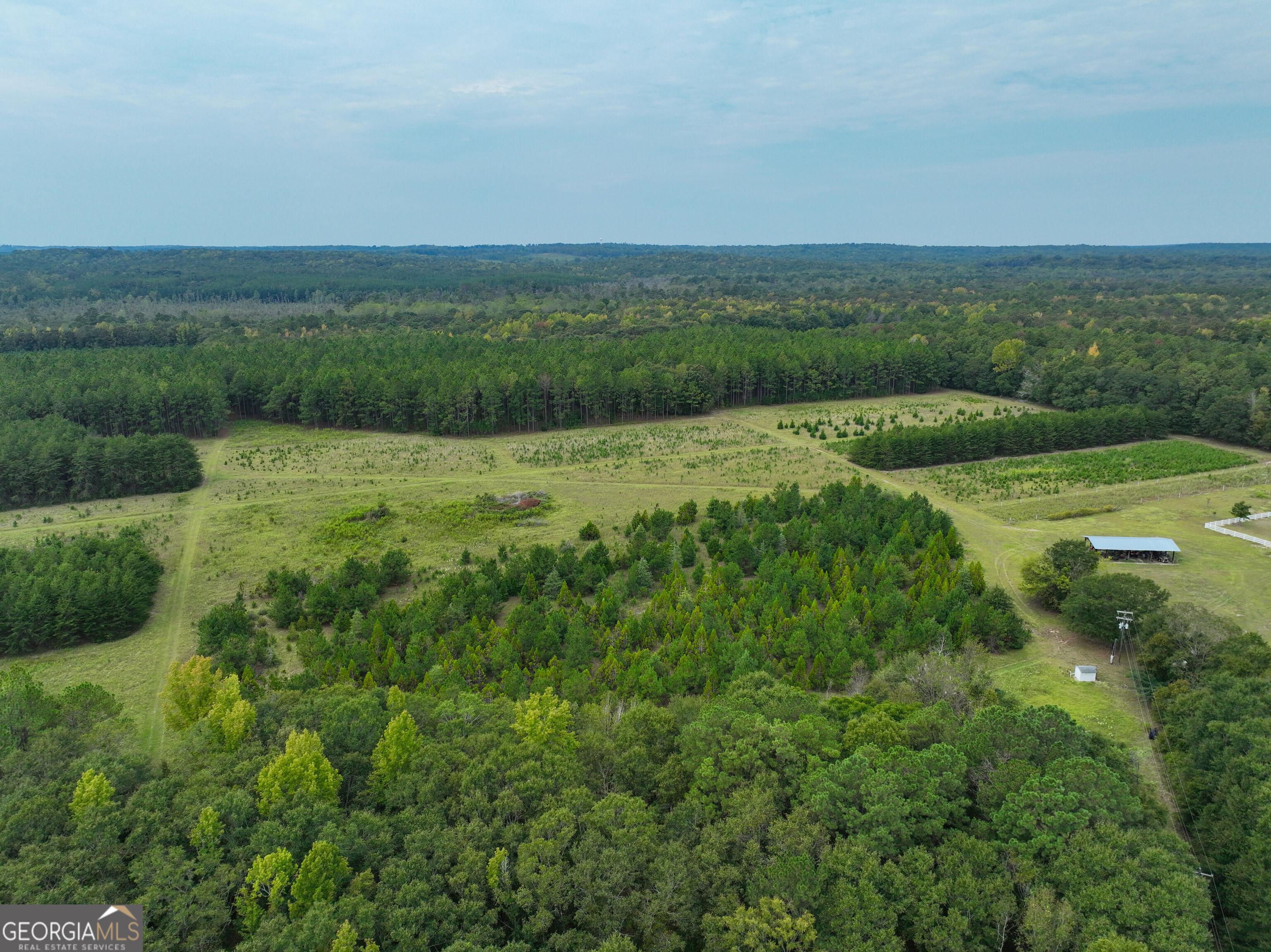 5889 Hammock Road Property Photo 22