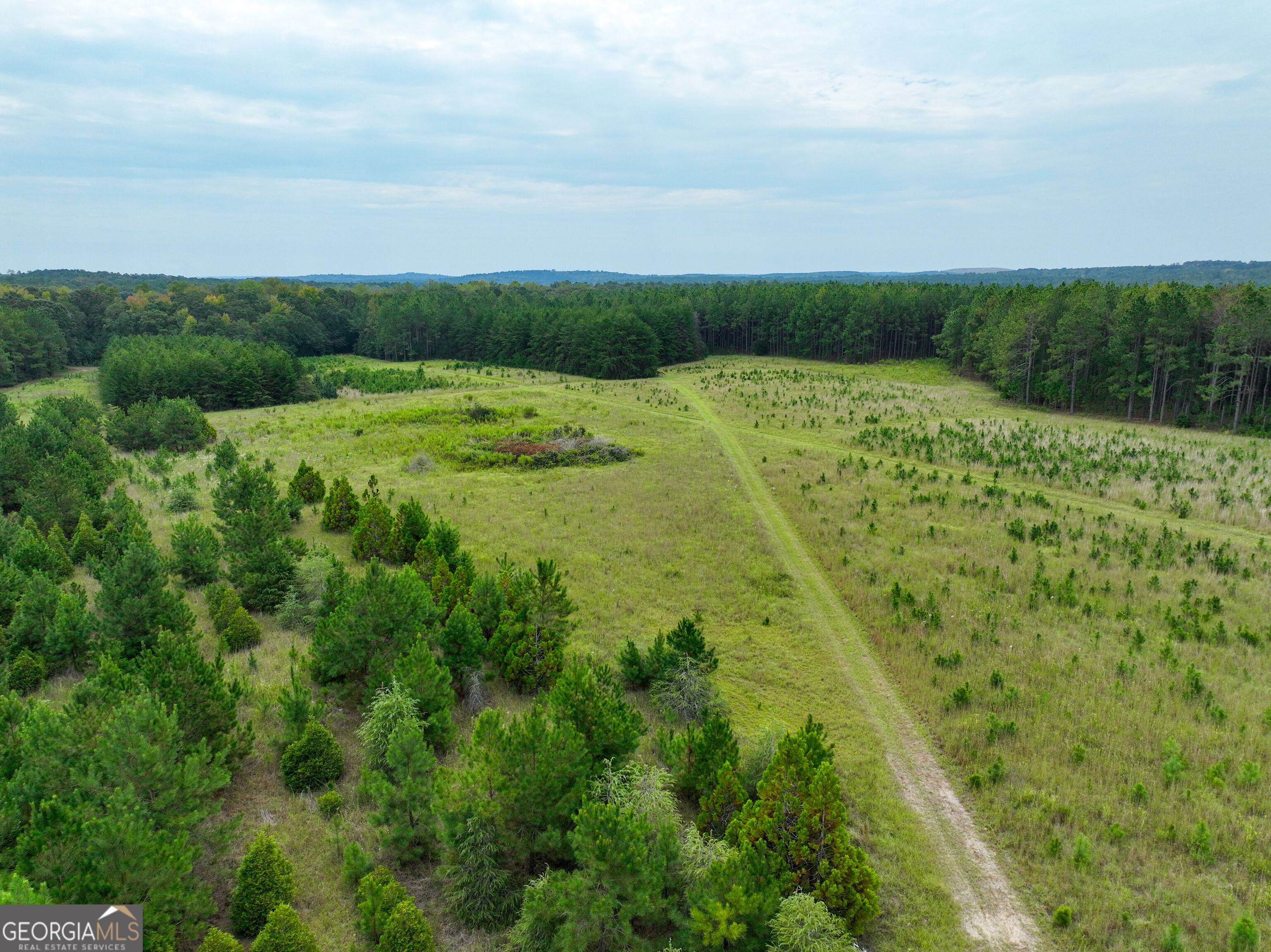5889 Hammock Road Property Photo 25