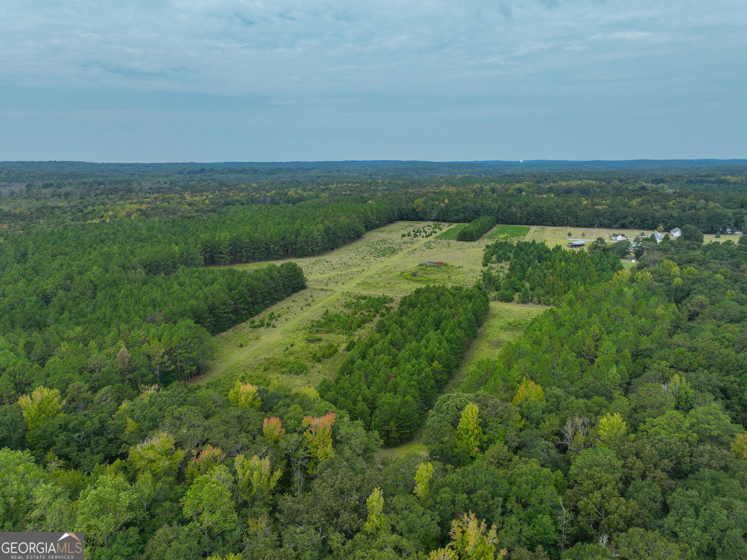 5889 Hammock Road Property Photo 27