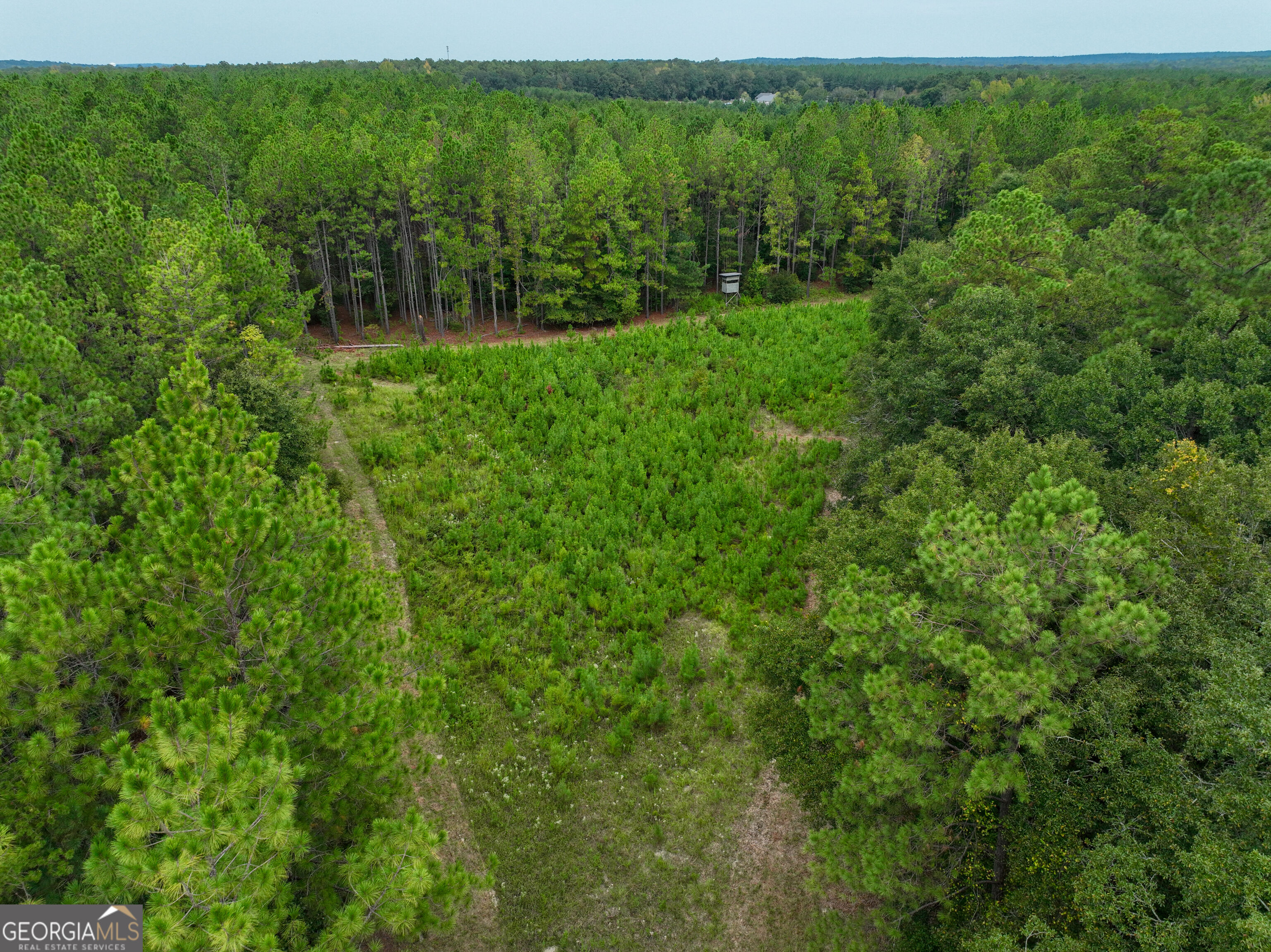 5889 Hammock Road Property Photo 29