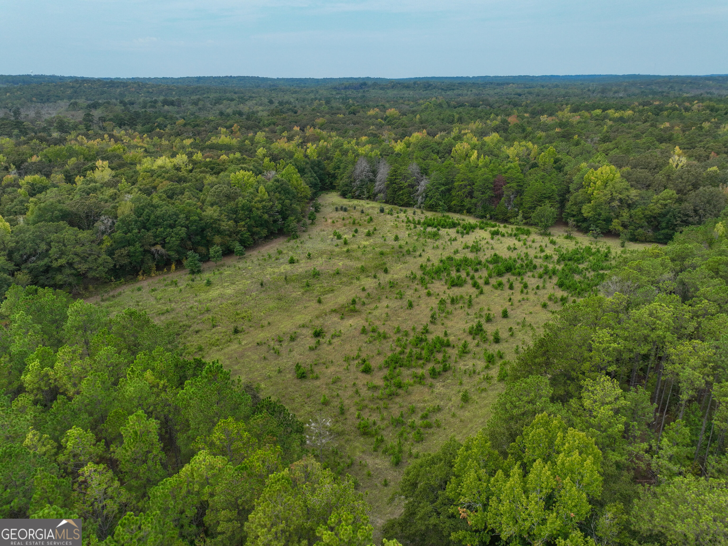 5889 Hammock Road Property Photo 30