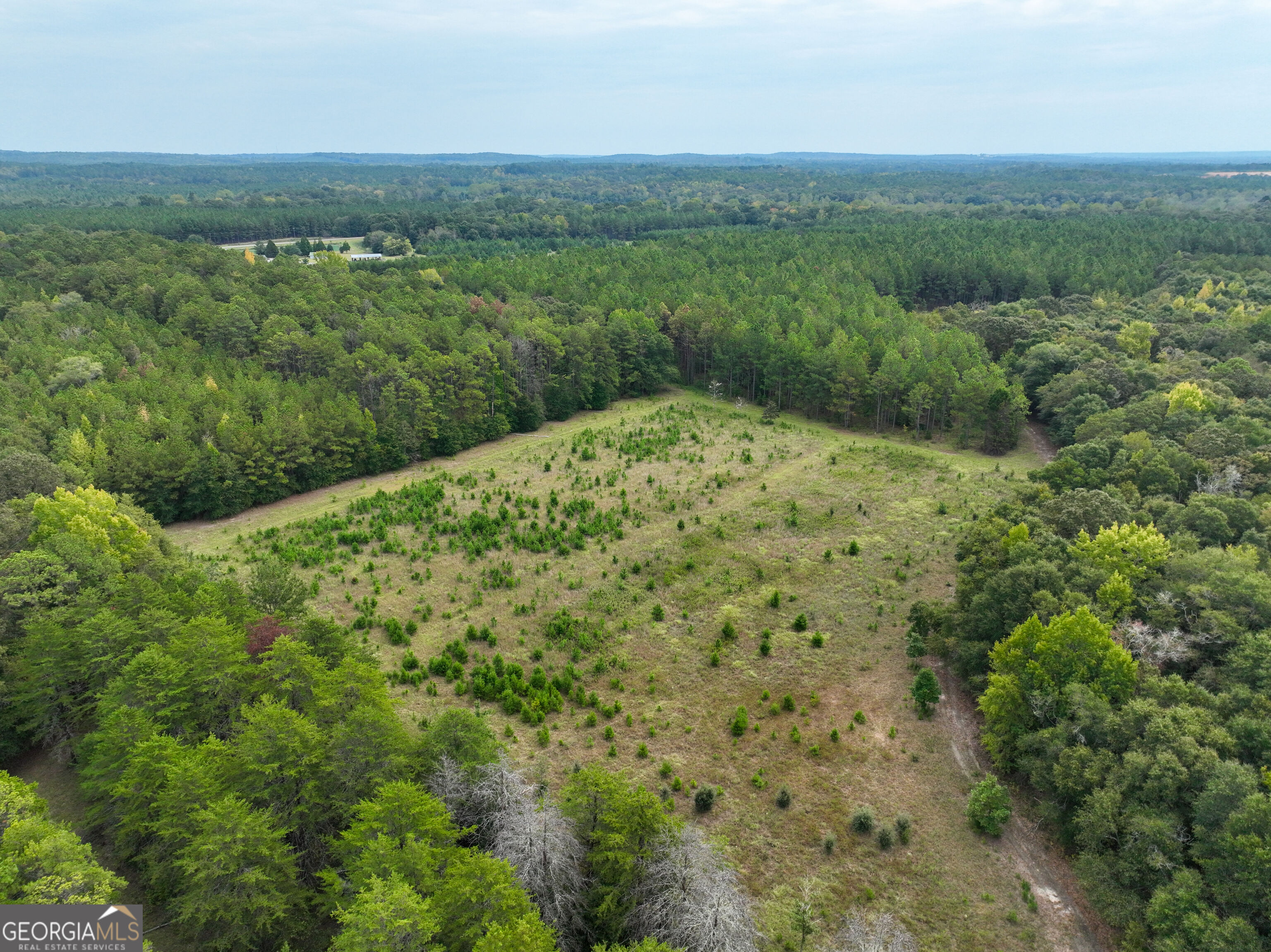 5889 Hammock Road Property Photo 31