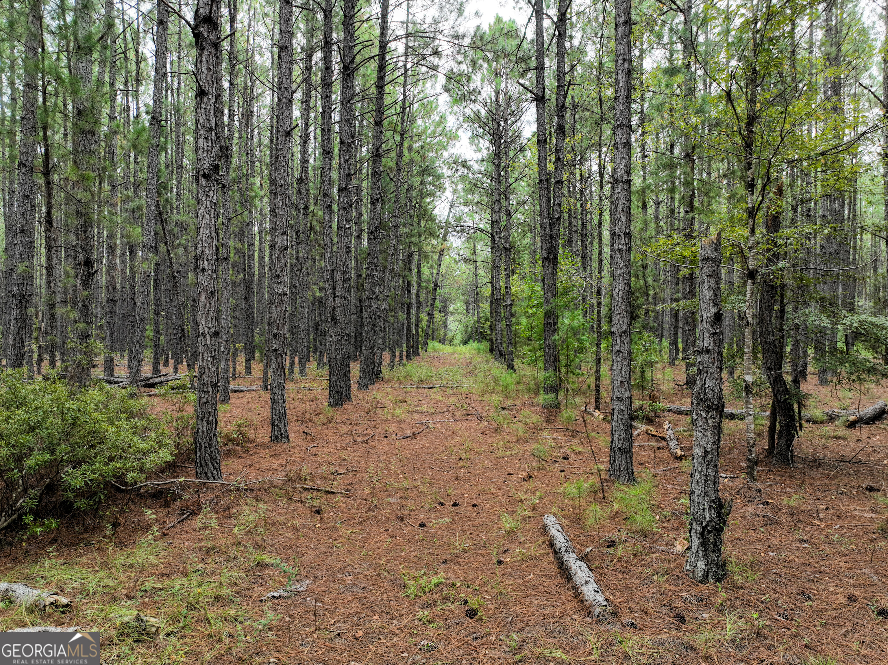 5889 Hammock Road Property Photo 32
