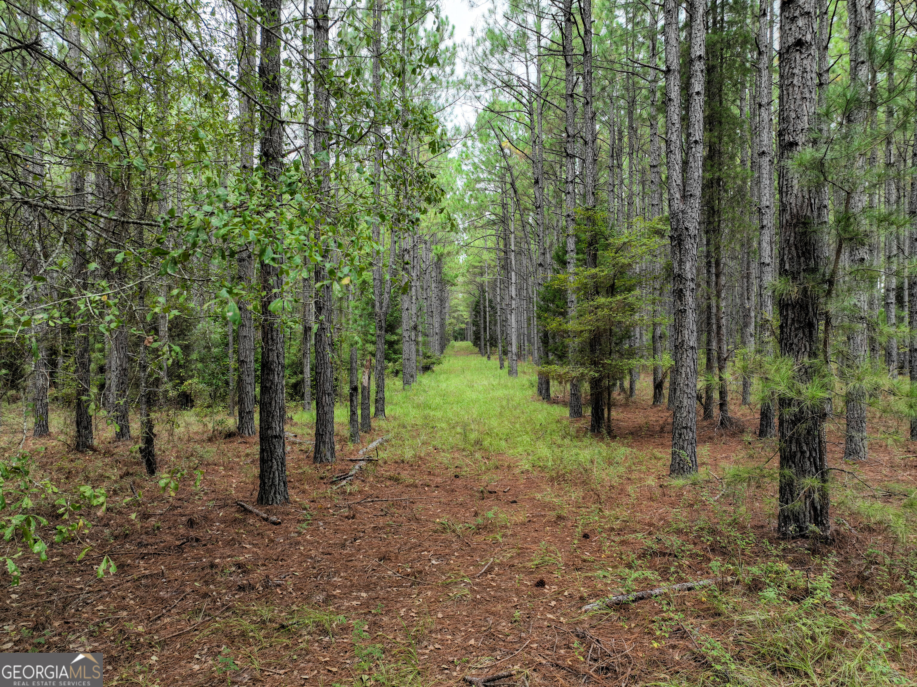 5889 Hammock Road Property Photo 33