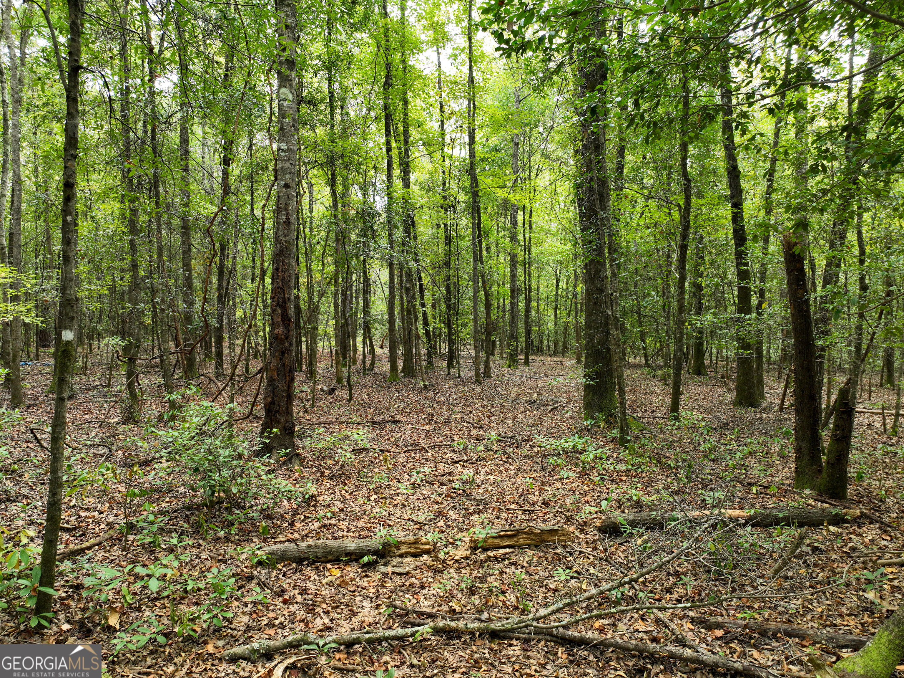 5889 Hammock Road Property Photo 35