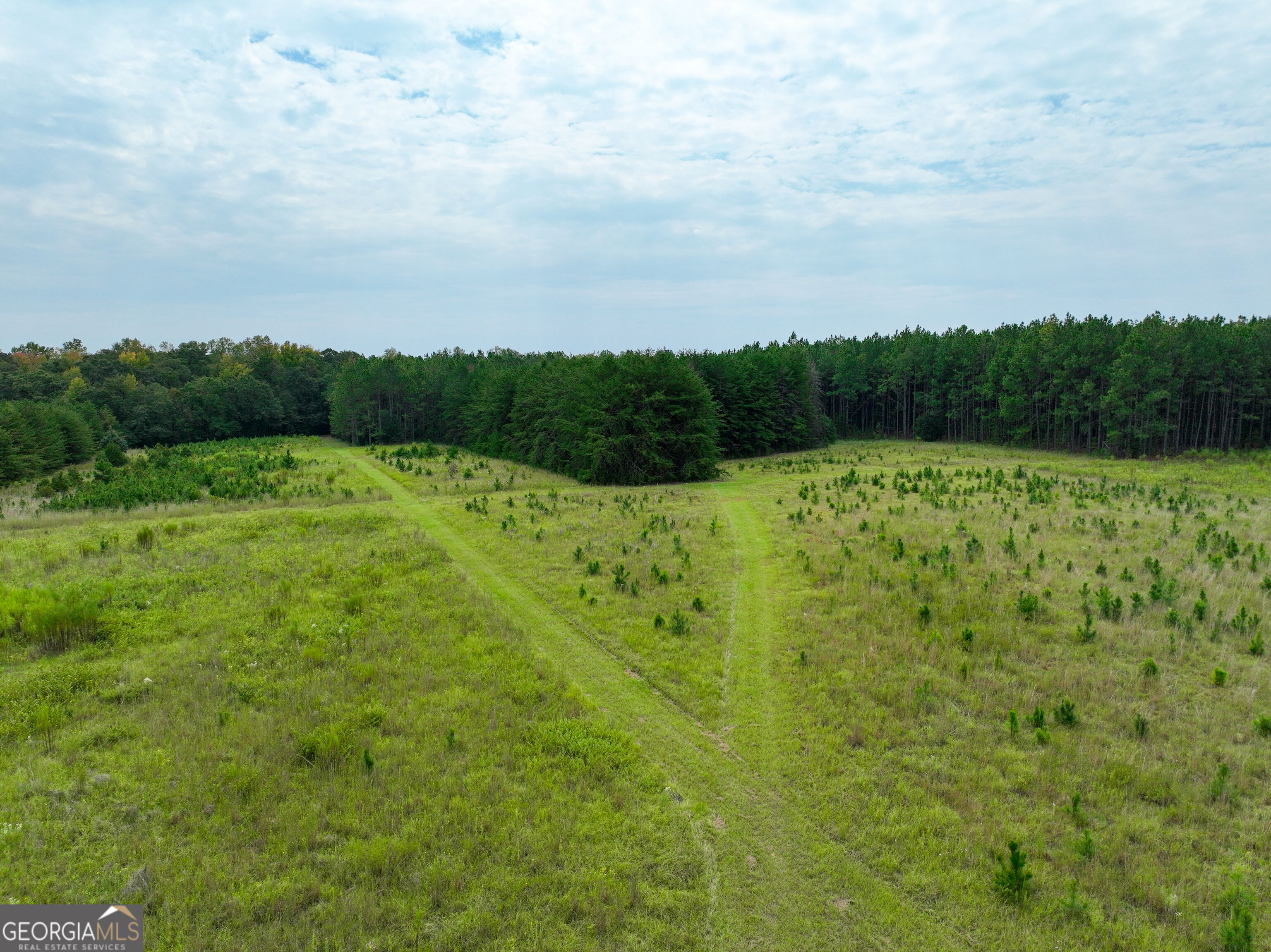 5889 Hammock Road Property Photo 36