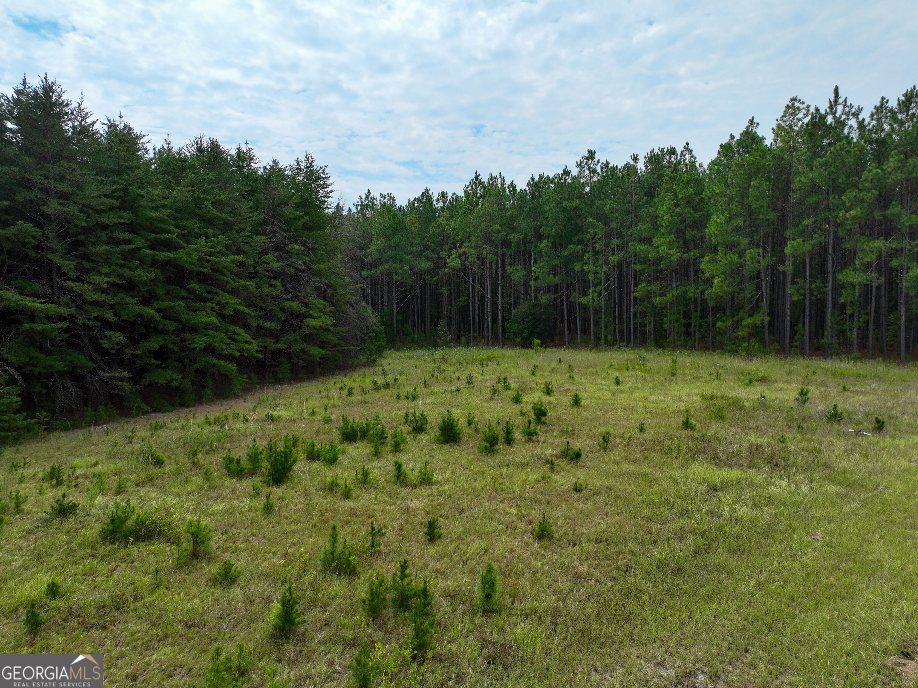 5889 Hammock Road Property Photo 37