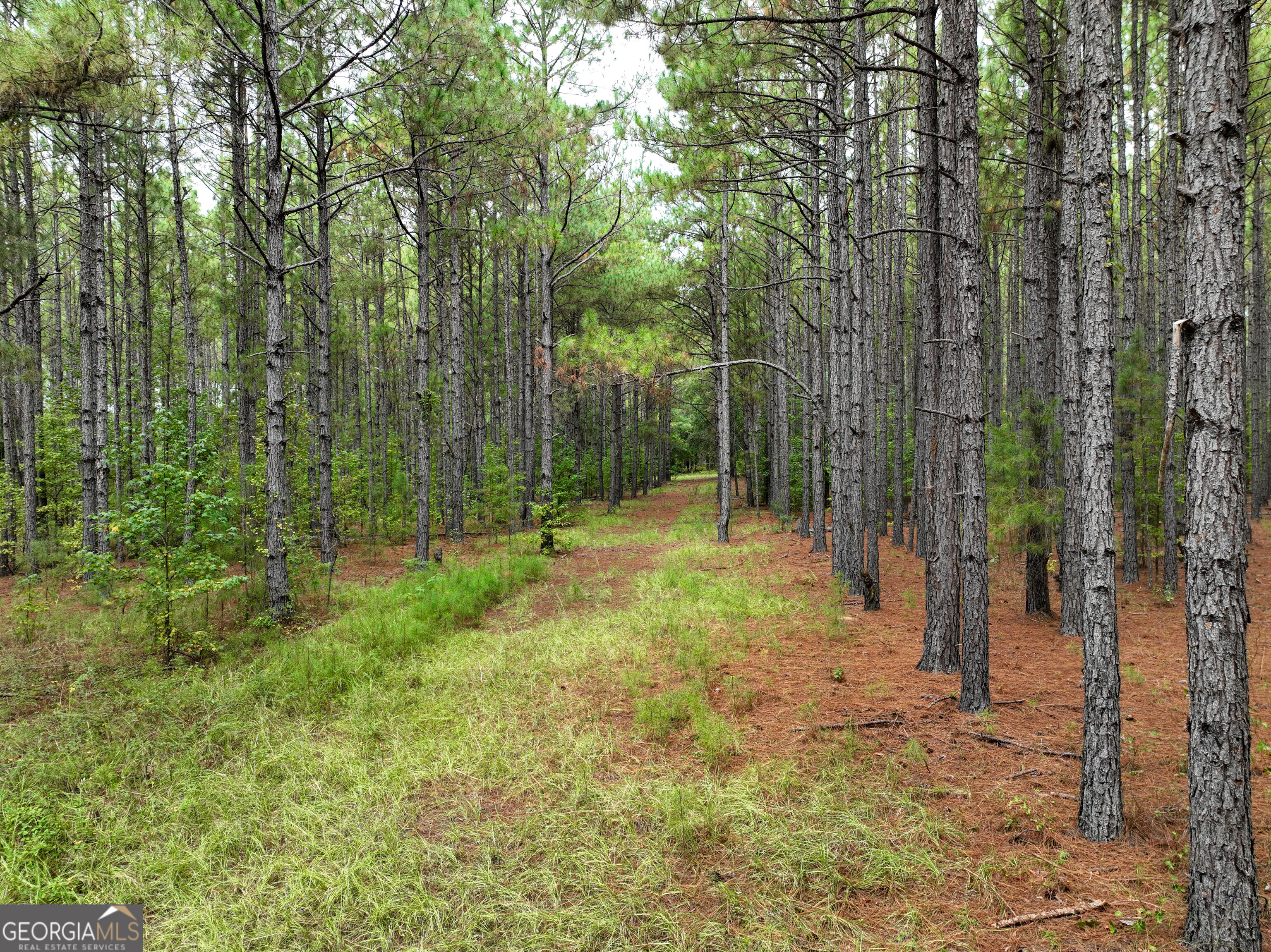 5889 Hammock Road Property Photo 38