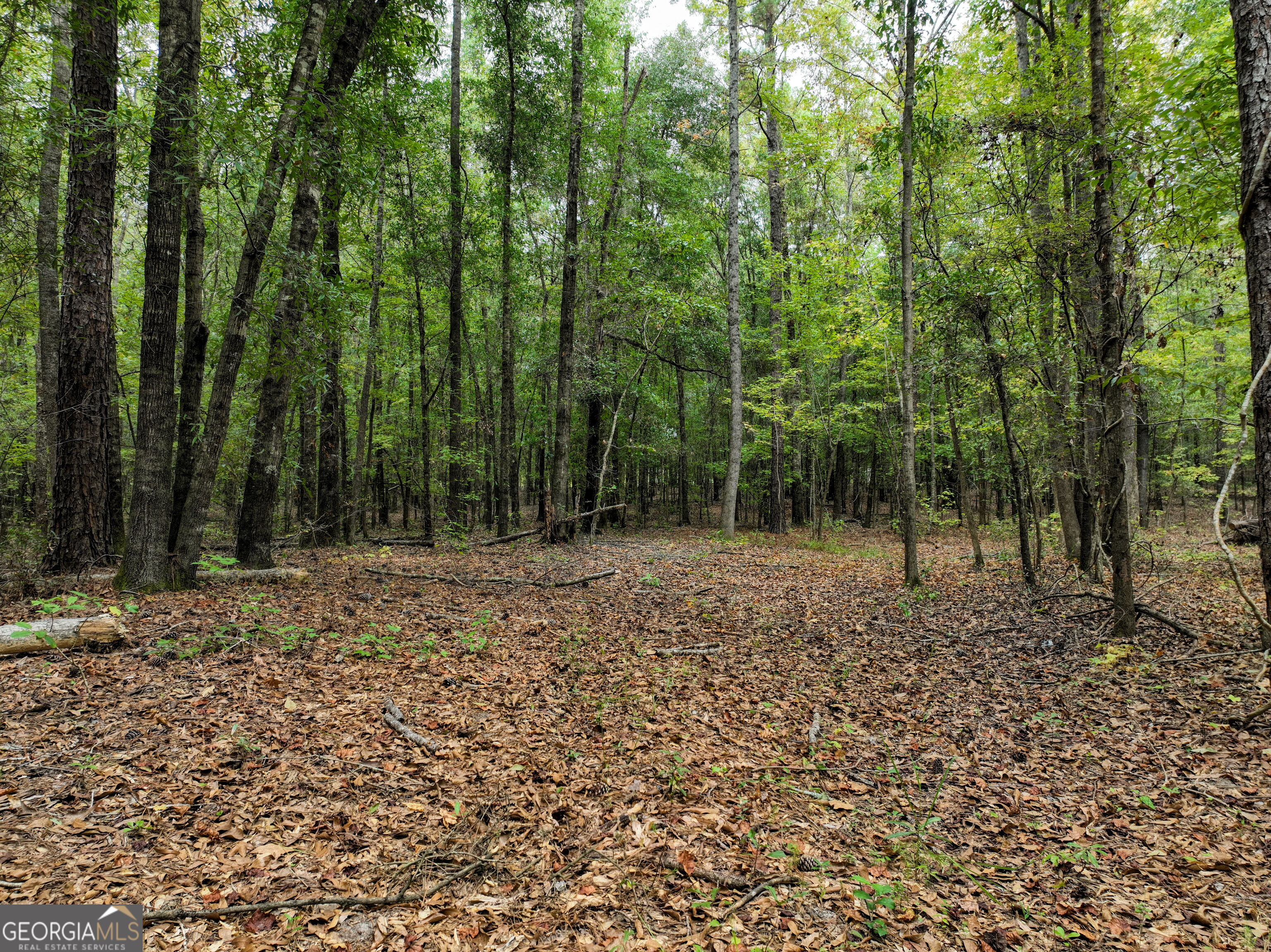 5889 Hammock Road Property Photo 40