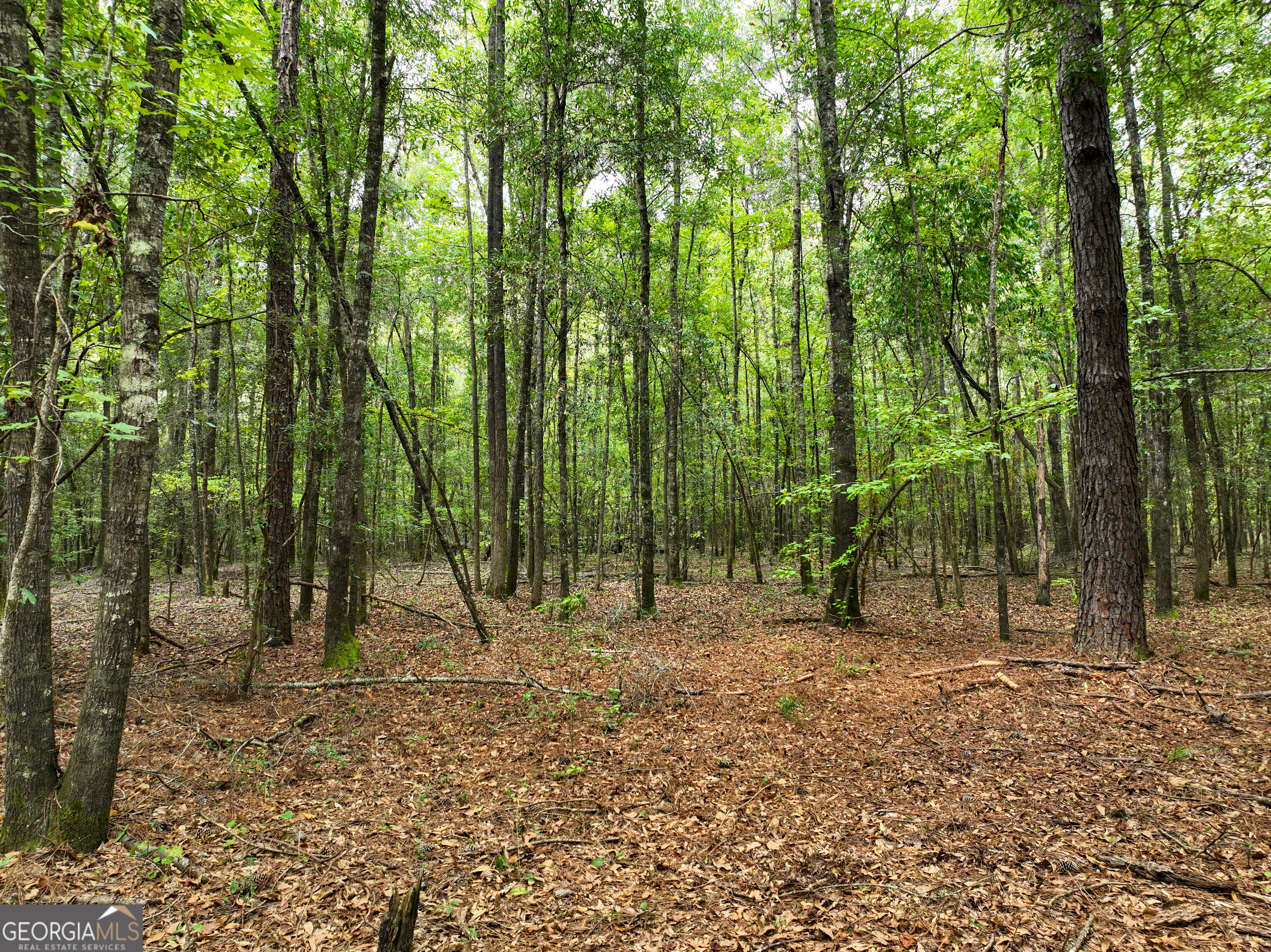 5889 Hammock Road Property Photo 42