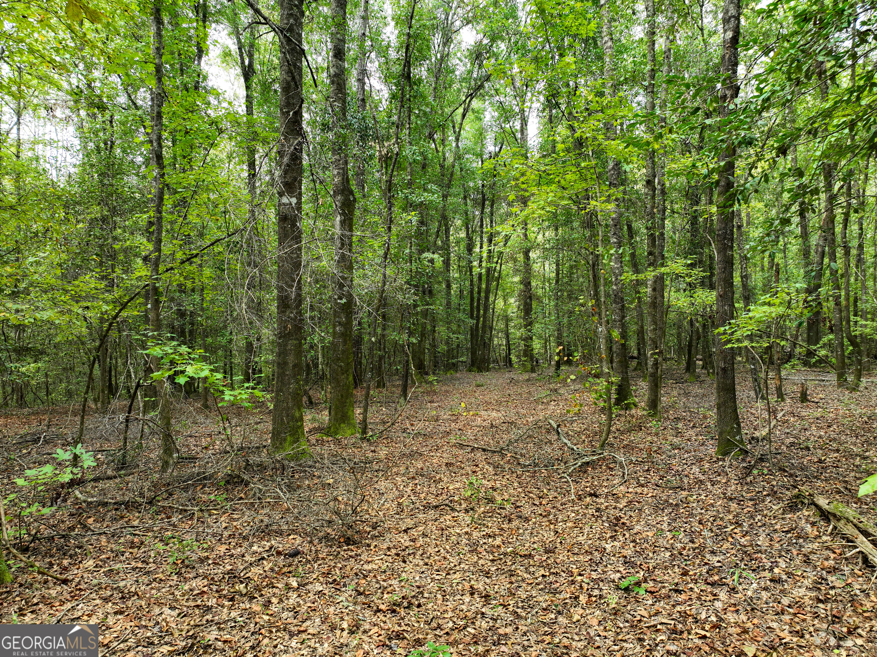 5889 Hammock Road Property Photo 43