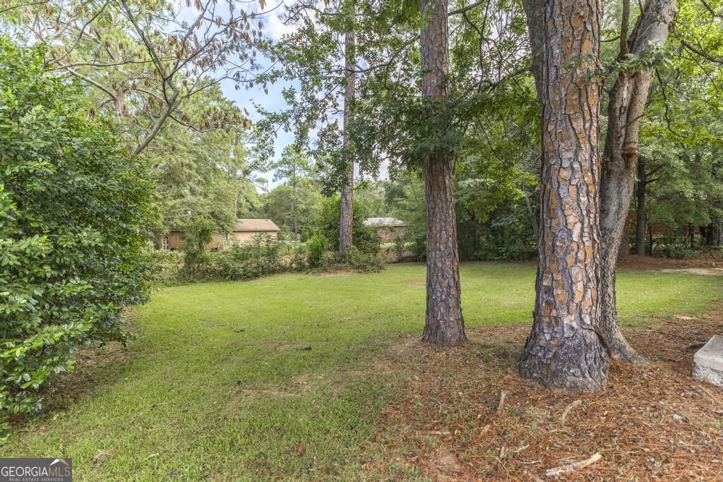 316 Peach Circle Property Photo 28