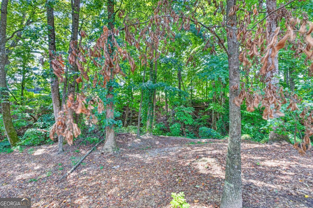 4000 Lantern Hill Drive Property Photo 72