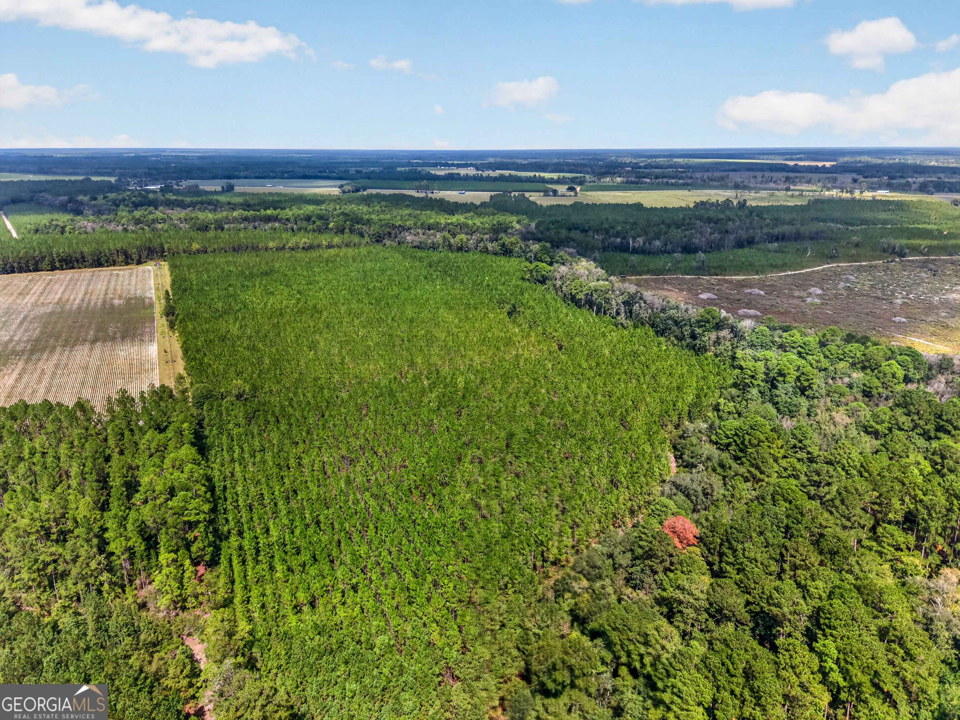 Tract 1 Highway 203 Property Photo 16