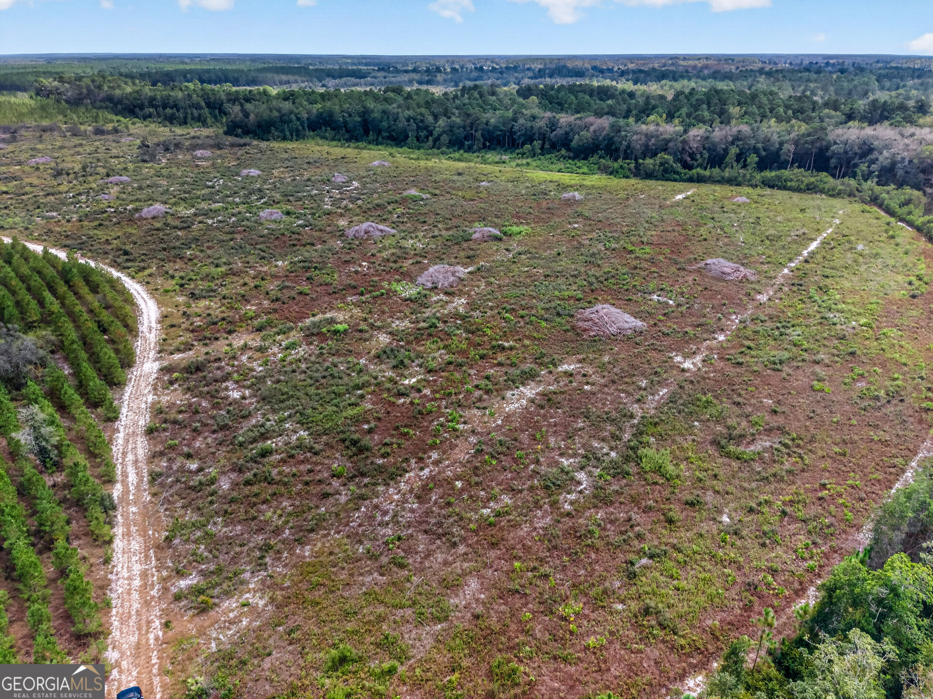Tract 1 Highway 203 Property Photo 21