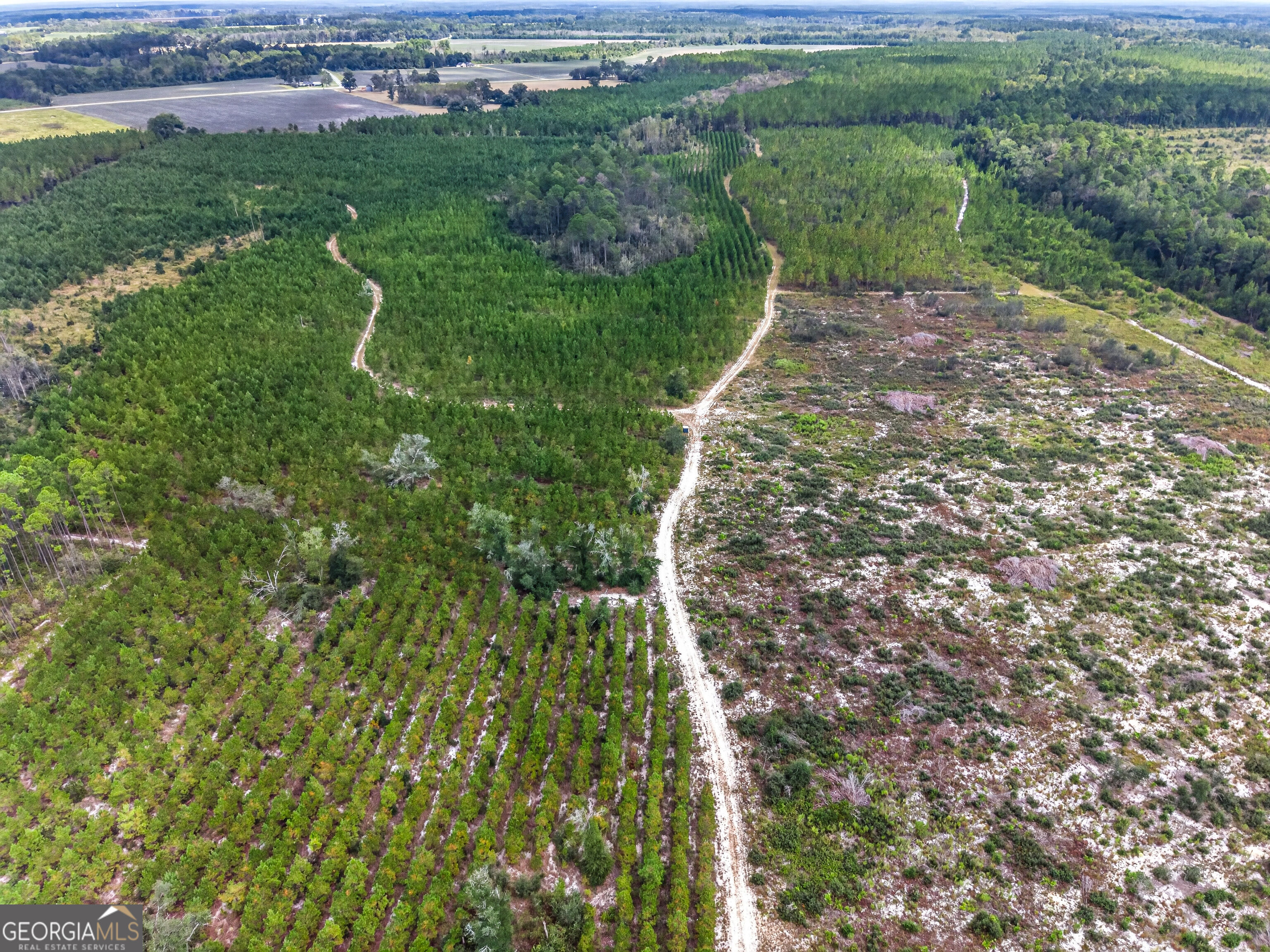 Tract 1 Highway 203 Property Photo 23