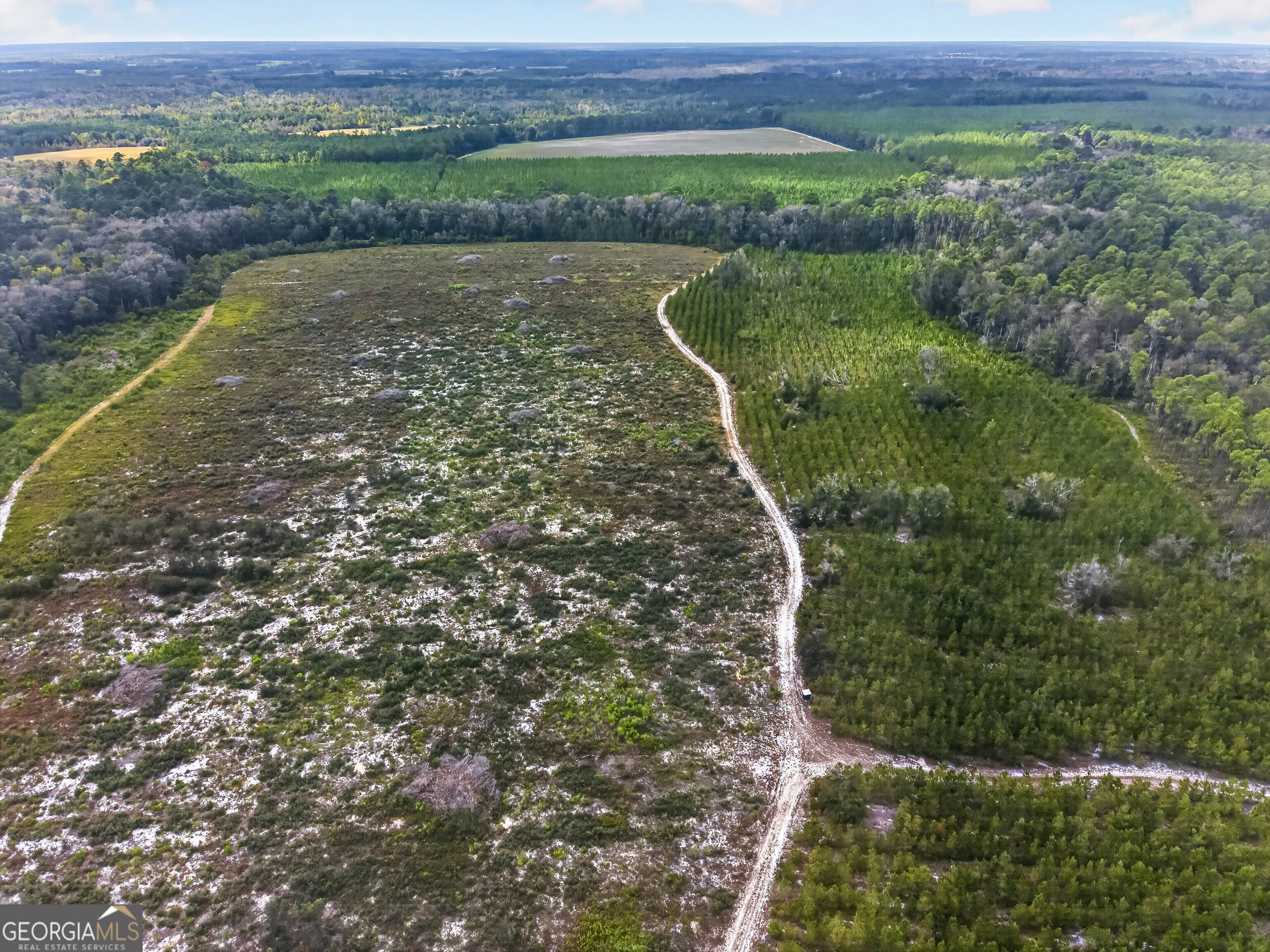 Tract 1 Highway 203 Property Photo 25