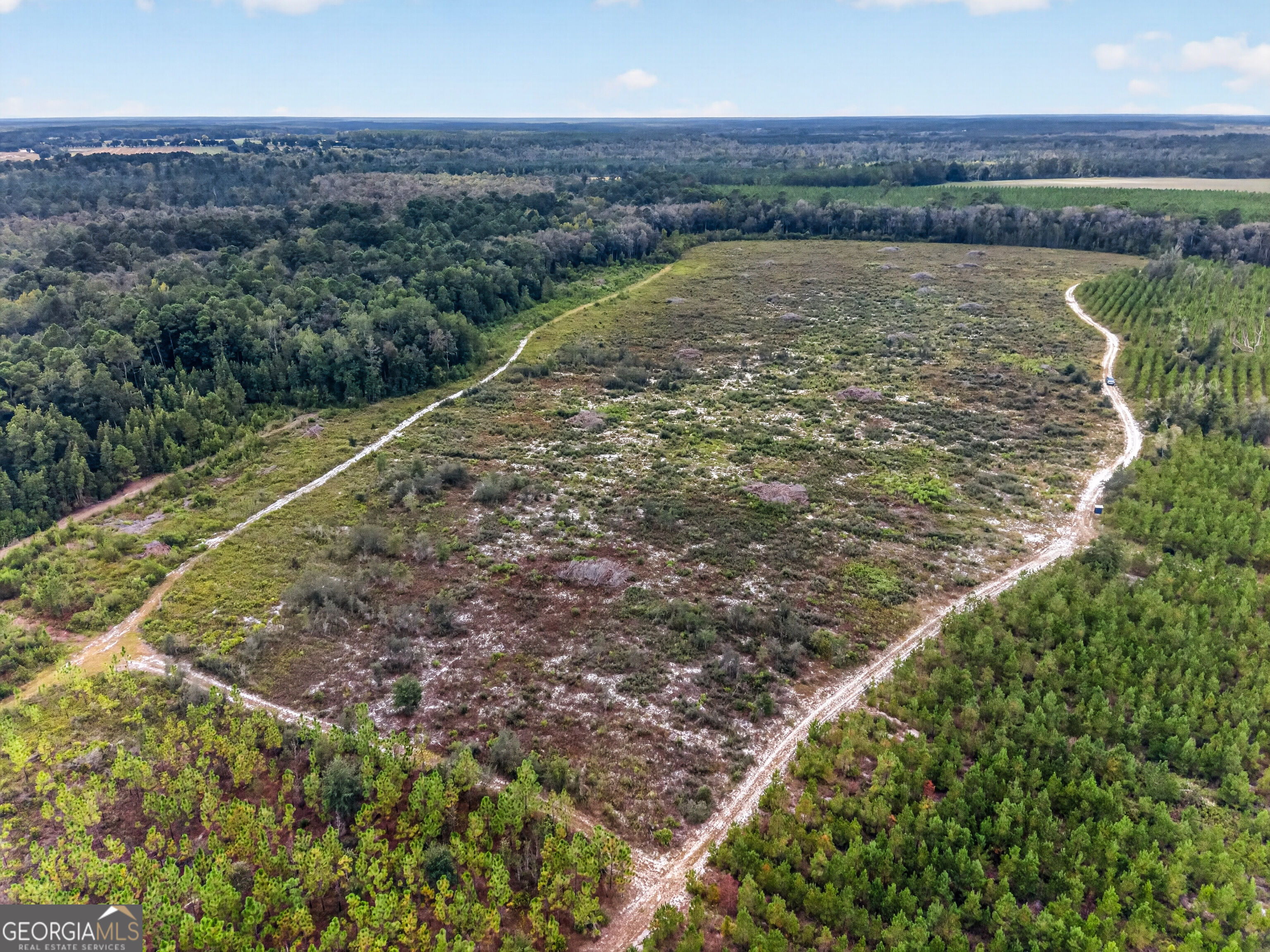 Tract 1 Highway 203 Property Photo 29