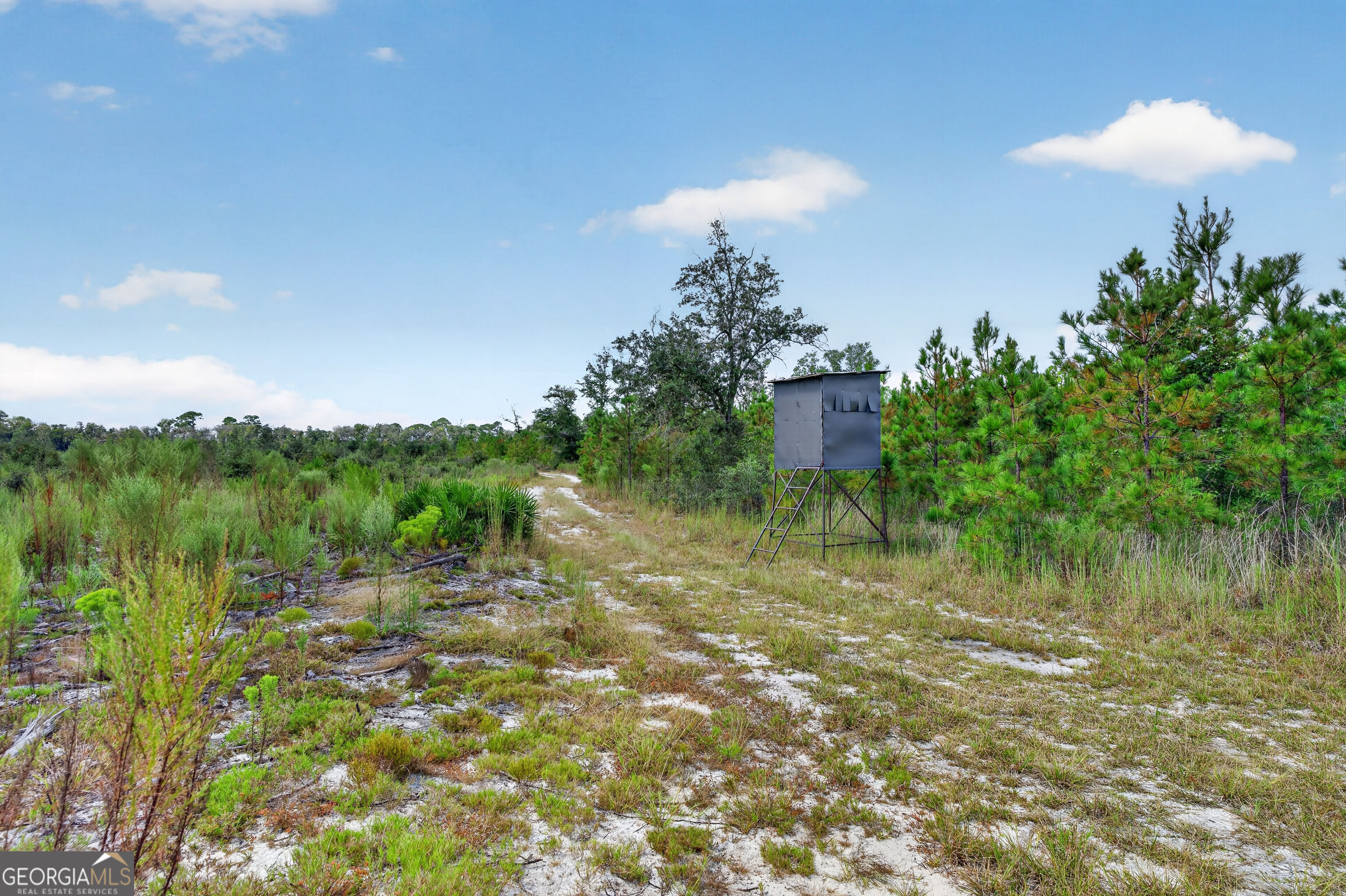 Tract 1 Highway 203 Property Photo 34