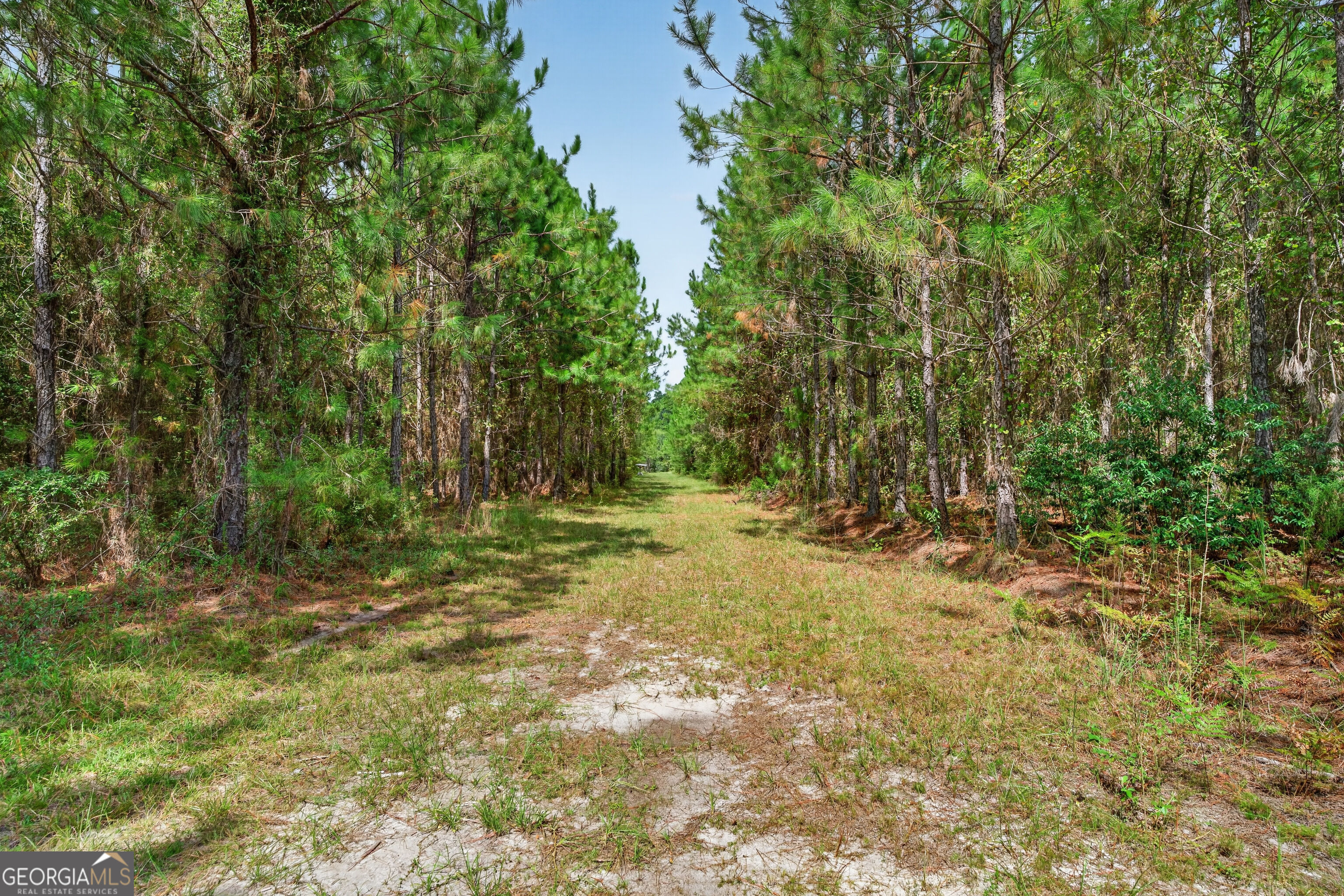 Tract 1 Highway 203 Property Photo 36