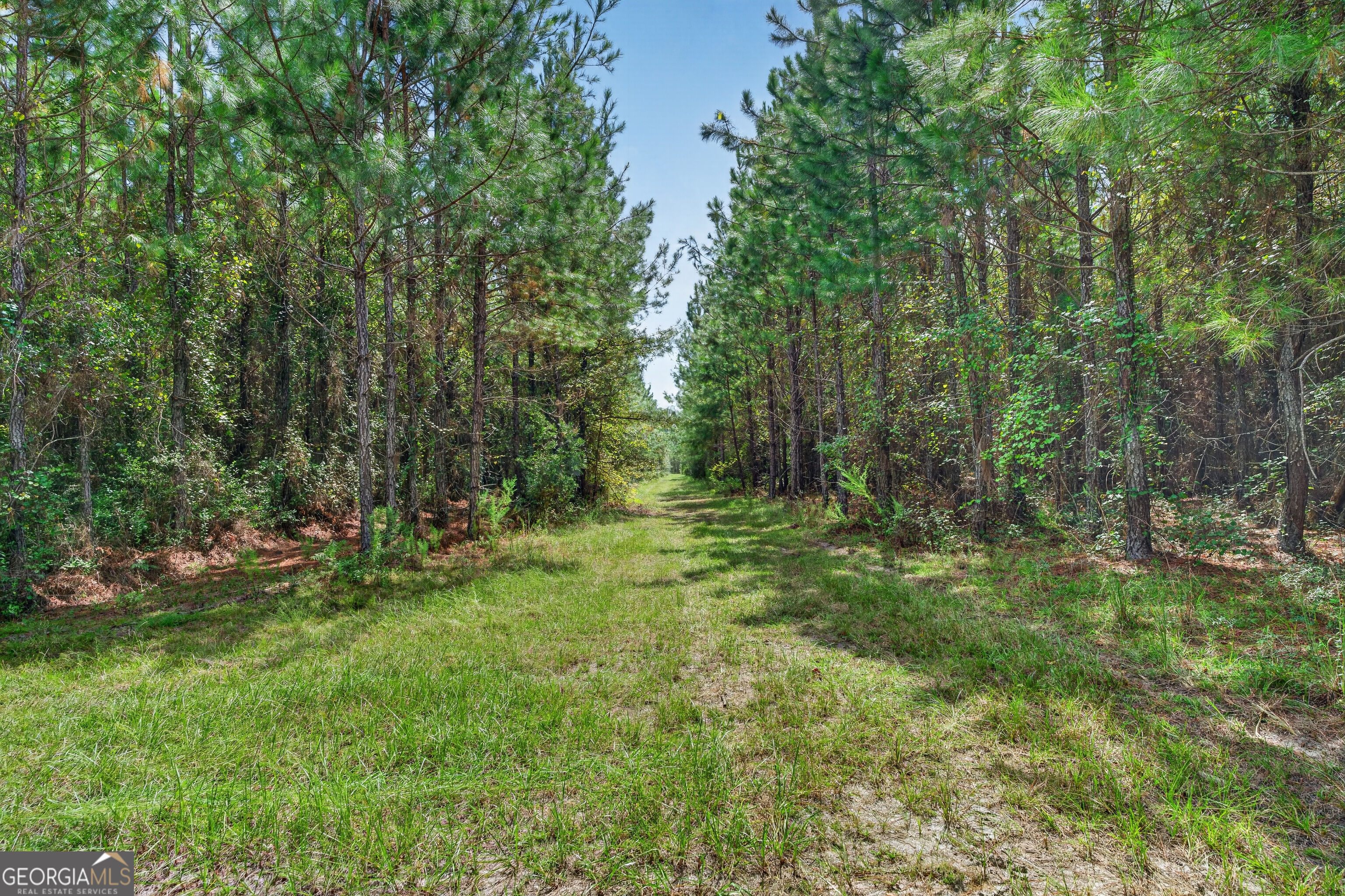 Tract 1 Highway 203 Property Photo 37