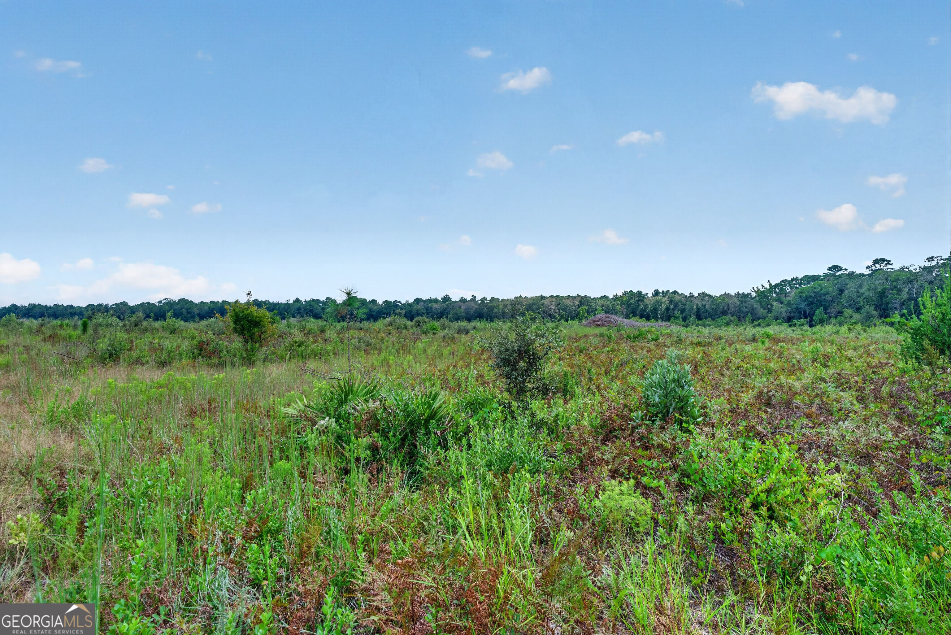 Tract 1 Highway 203 Property Photo 38