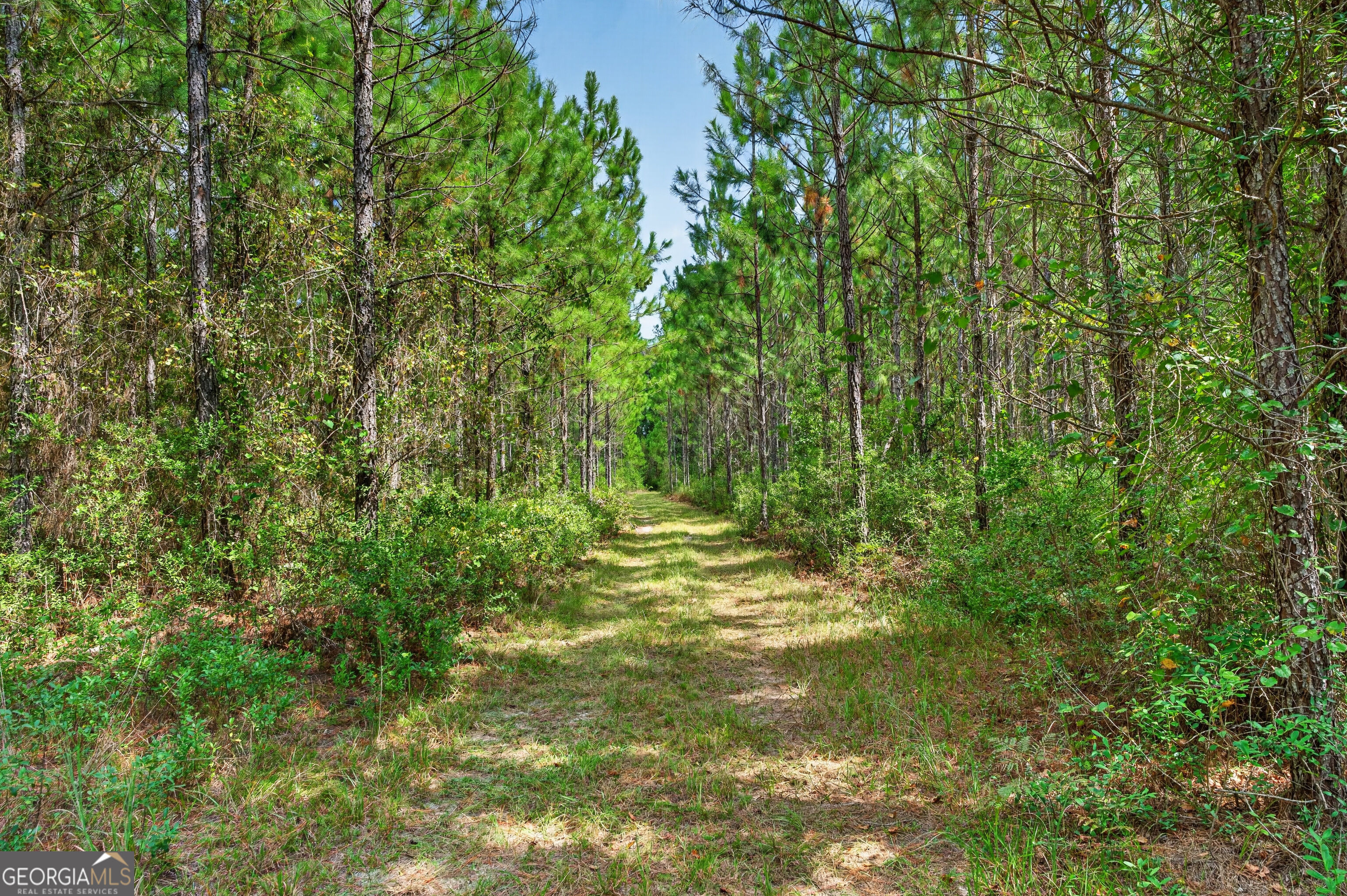 Tract 1 Highway 203 Property Photo 39