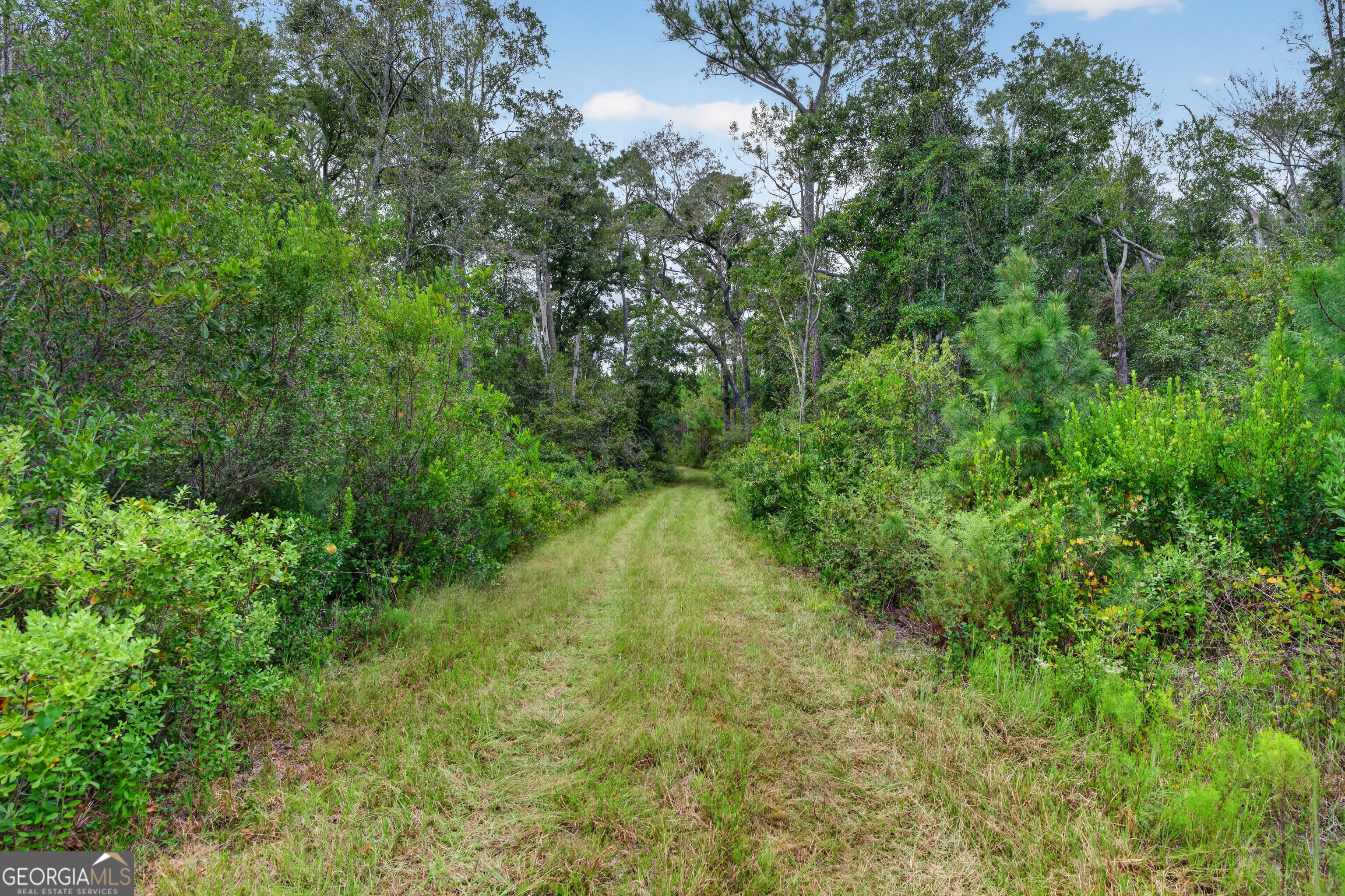 Tract 1 Highway 203 Property Photo 40