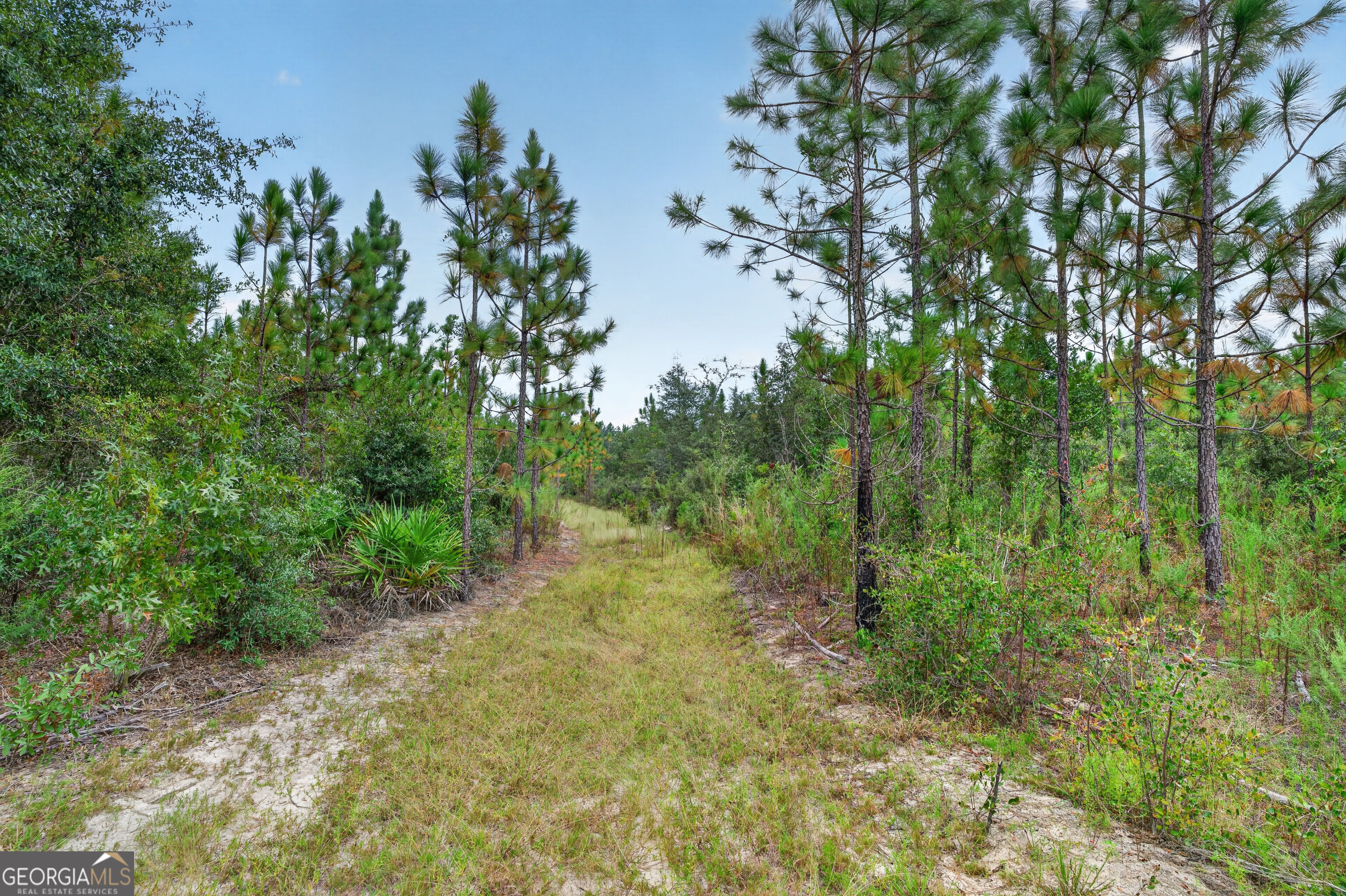 Tract 1 Highway 203 Property Photo 41