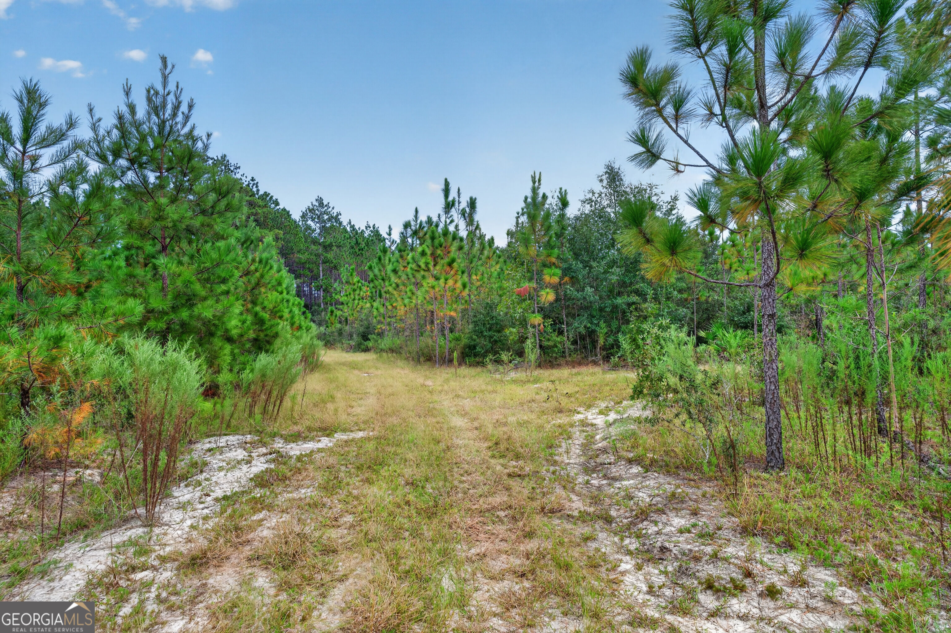 Tract 1 Highway 203 Property Photo 42