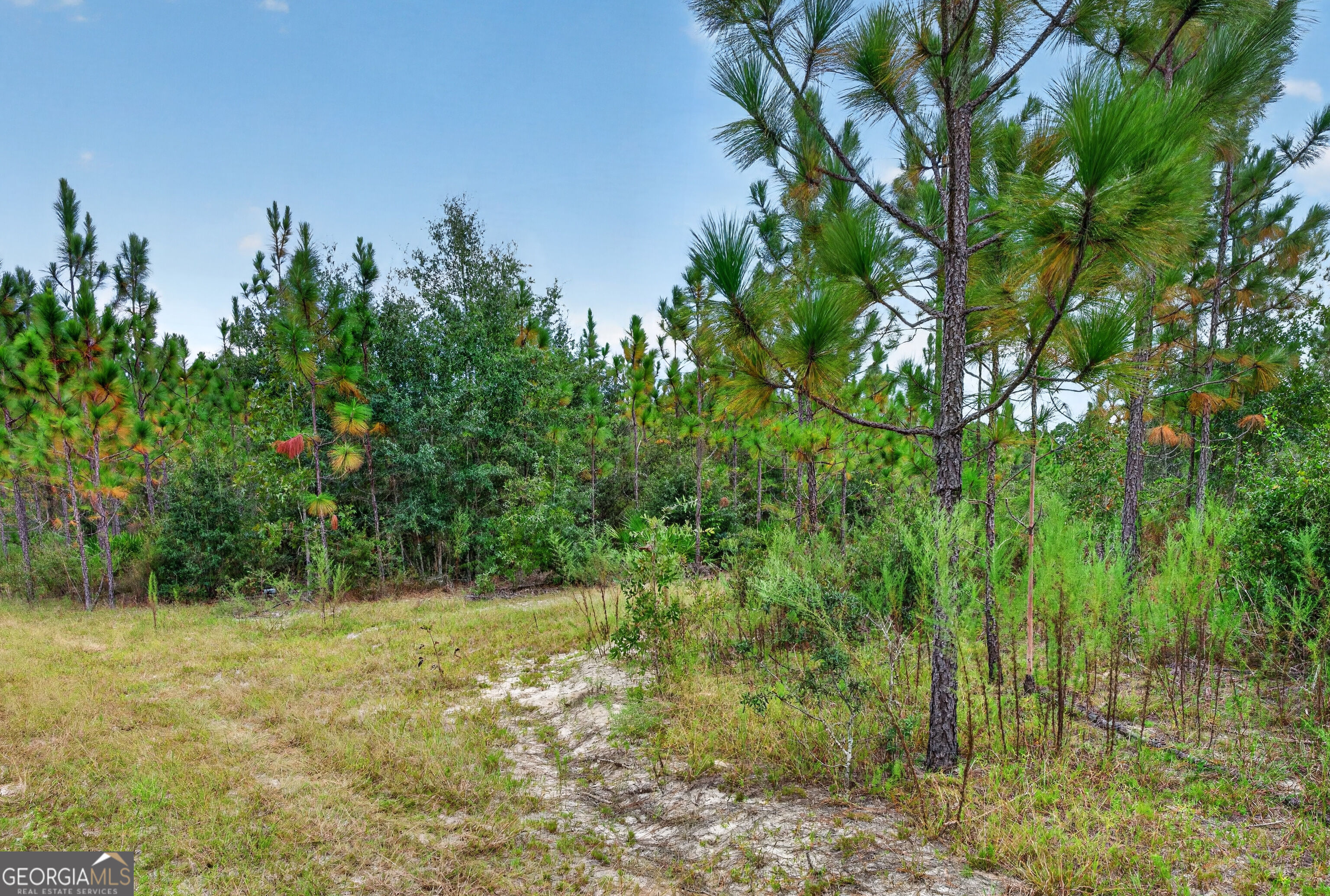 Tract 1 Highway 203 Property Photo 44