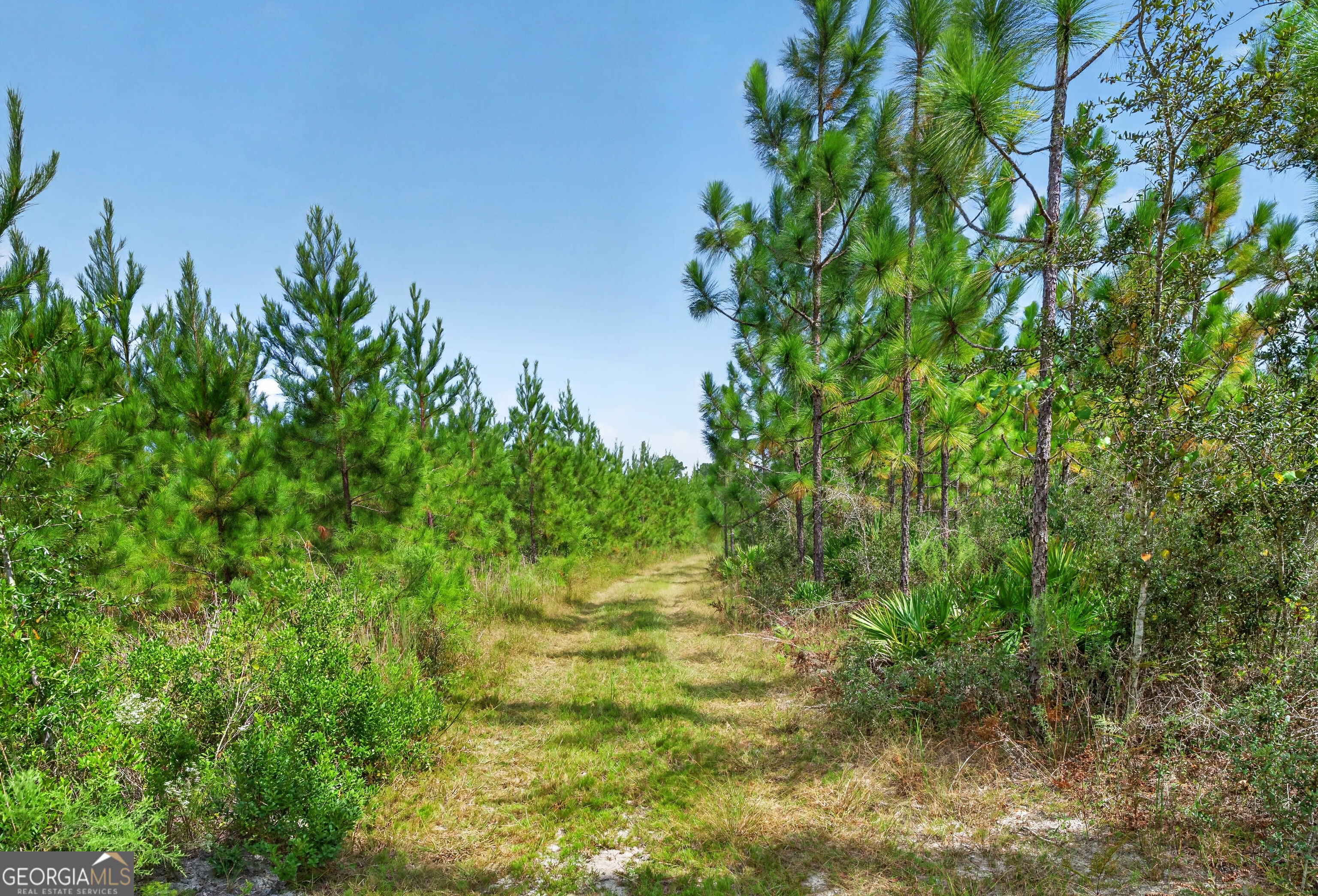 Tract 1 Highway 203 Property Photo 45