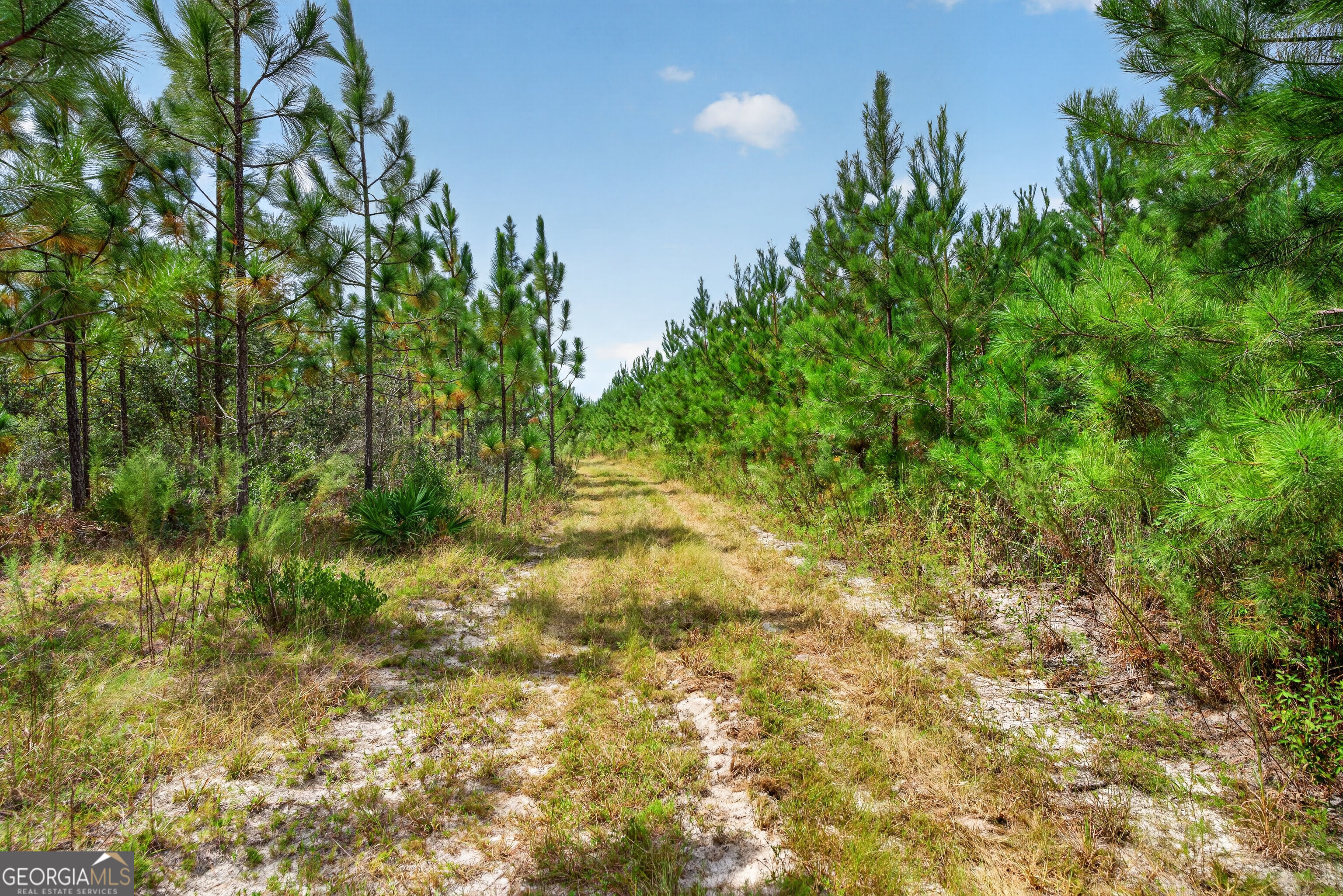 Tract 1 Highway 203 Property Photo 46