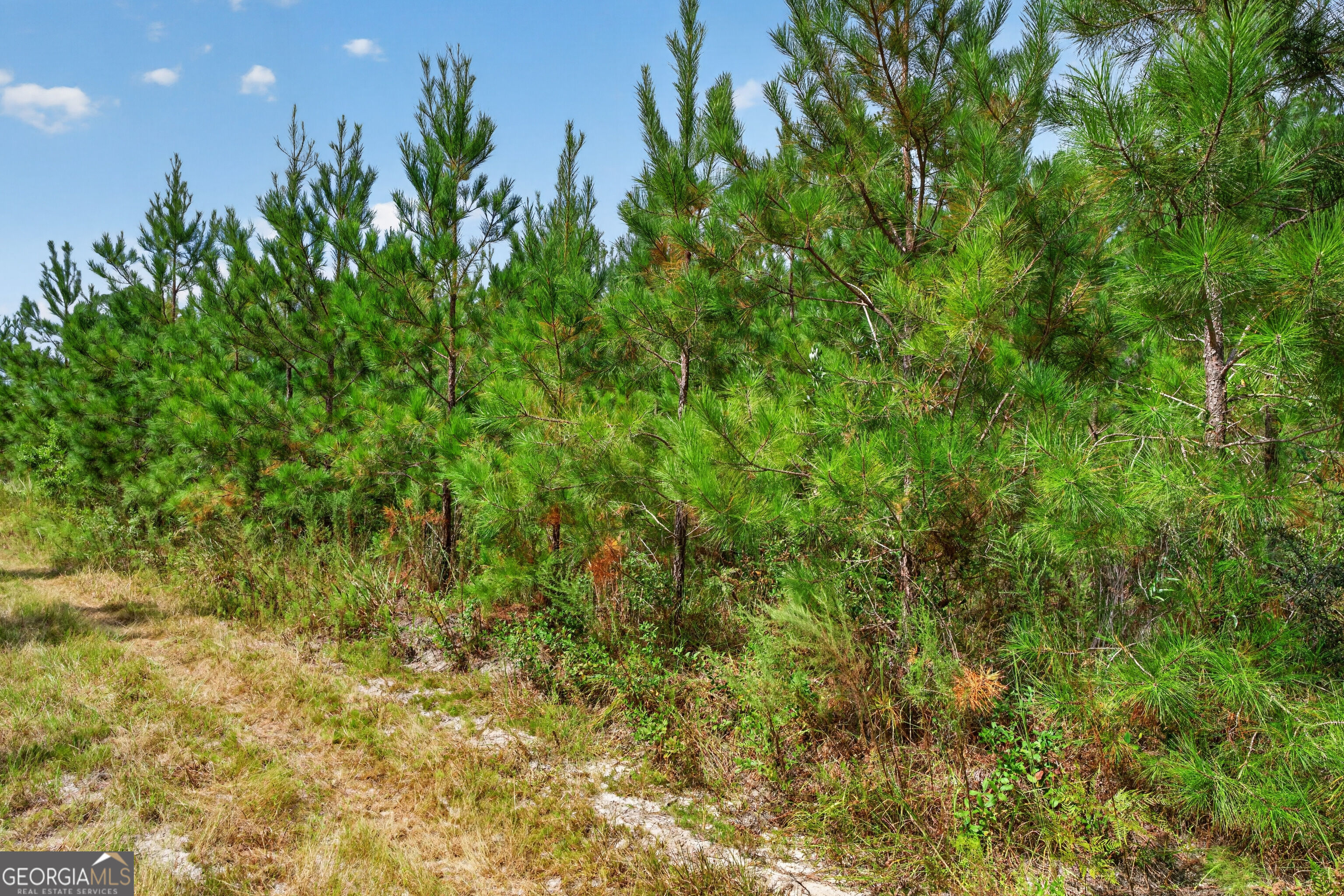 Tract 1 Highway 203 Property Photo 48