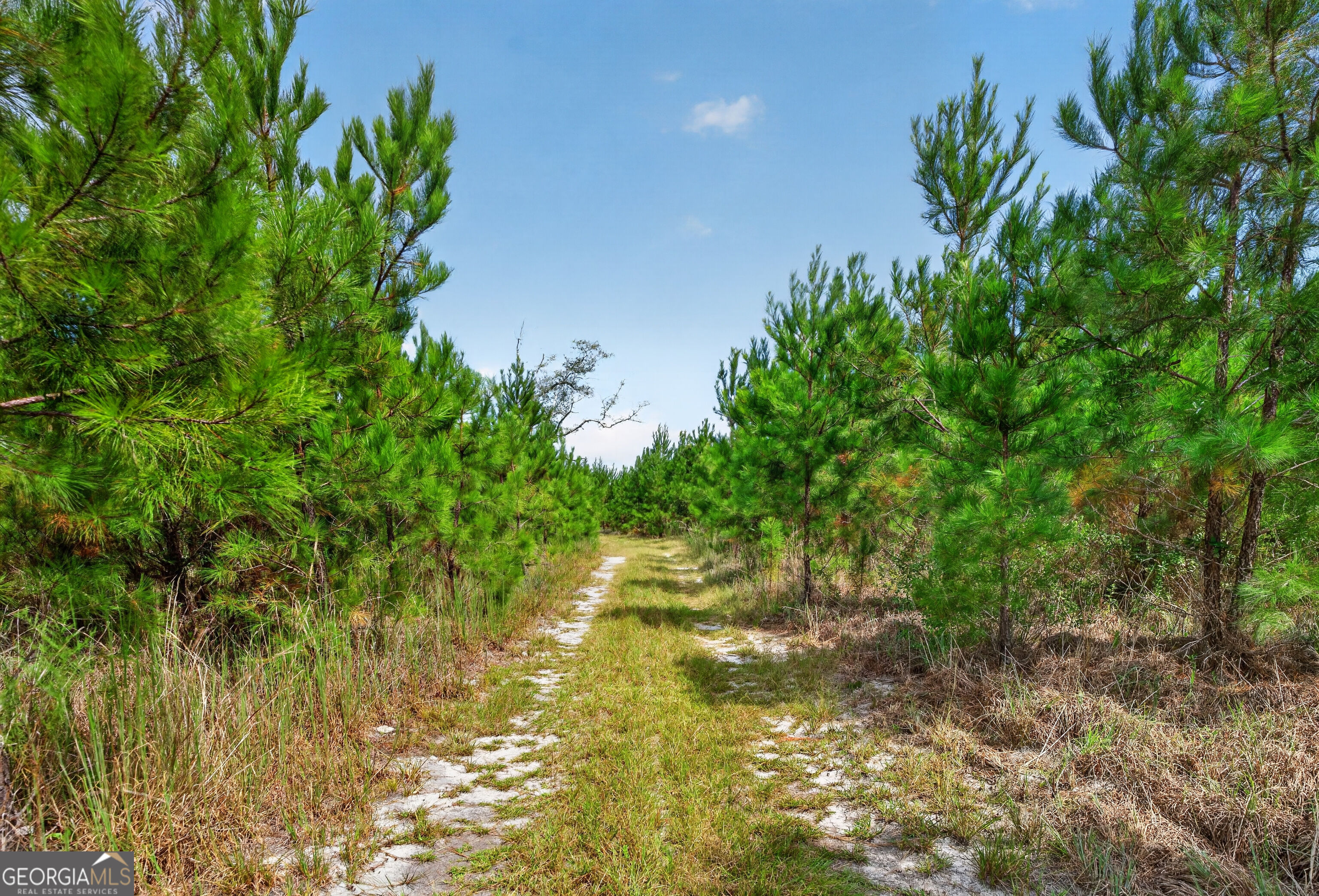 Tract 1 Highway 203 Property Photo 49