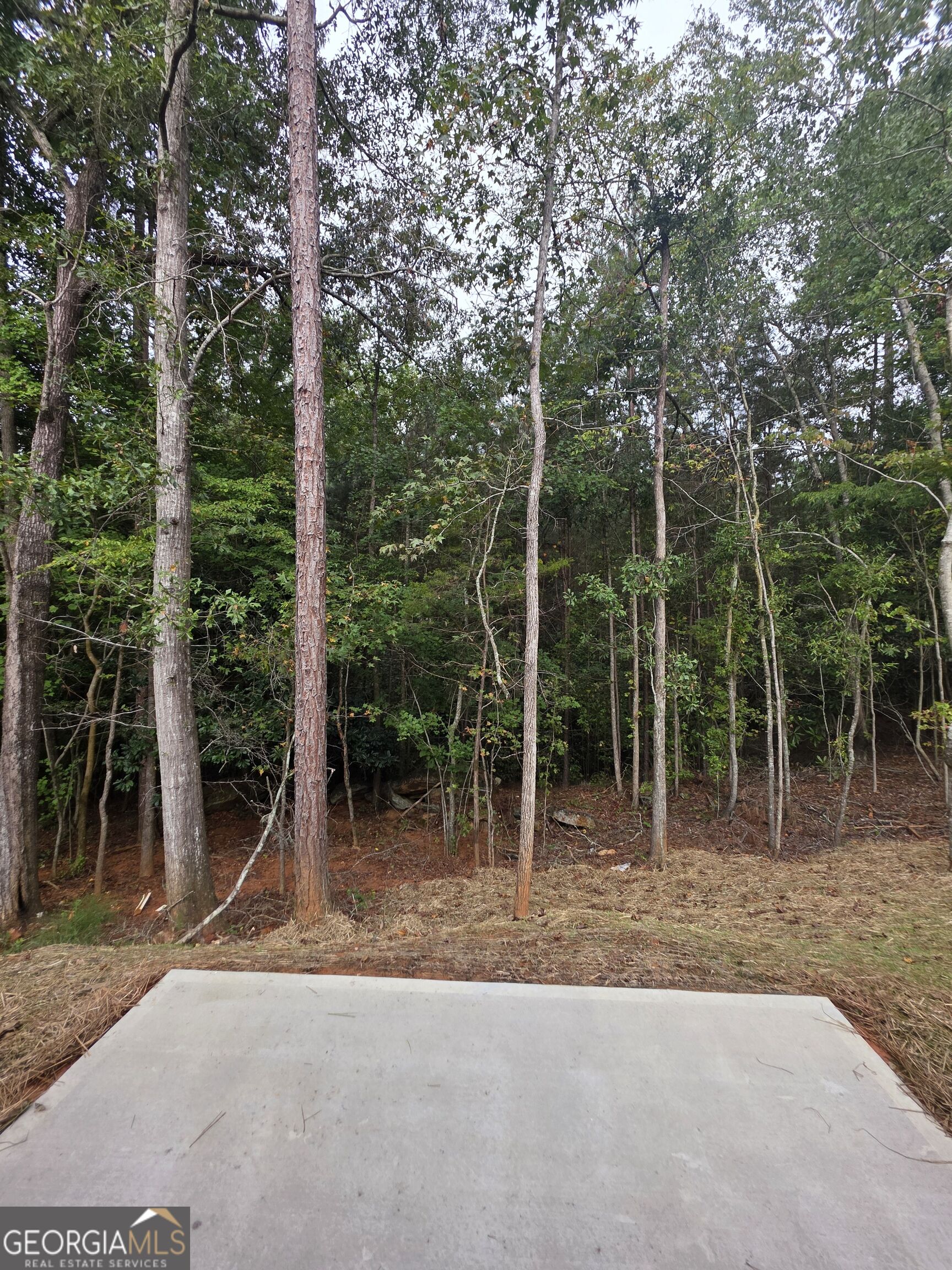 191 Laura Lane Property Photo 27