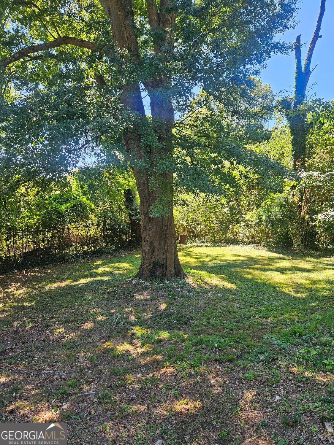 1167 Mayland Circle Sw Property Photo 19