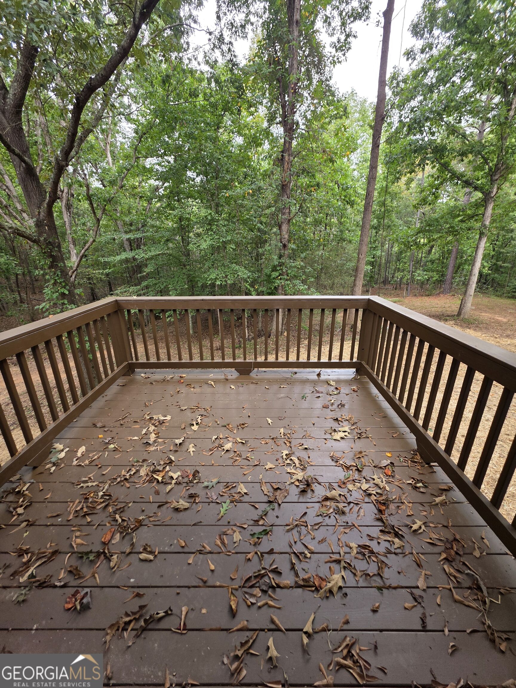 5025 Smokey Road Property Photo 16