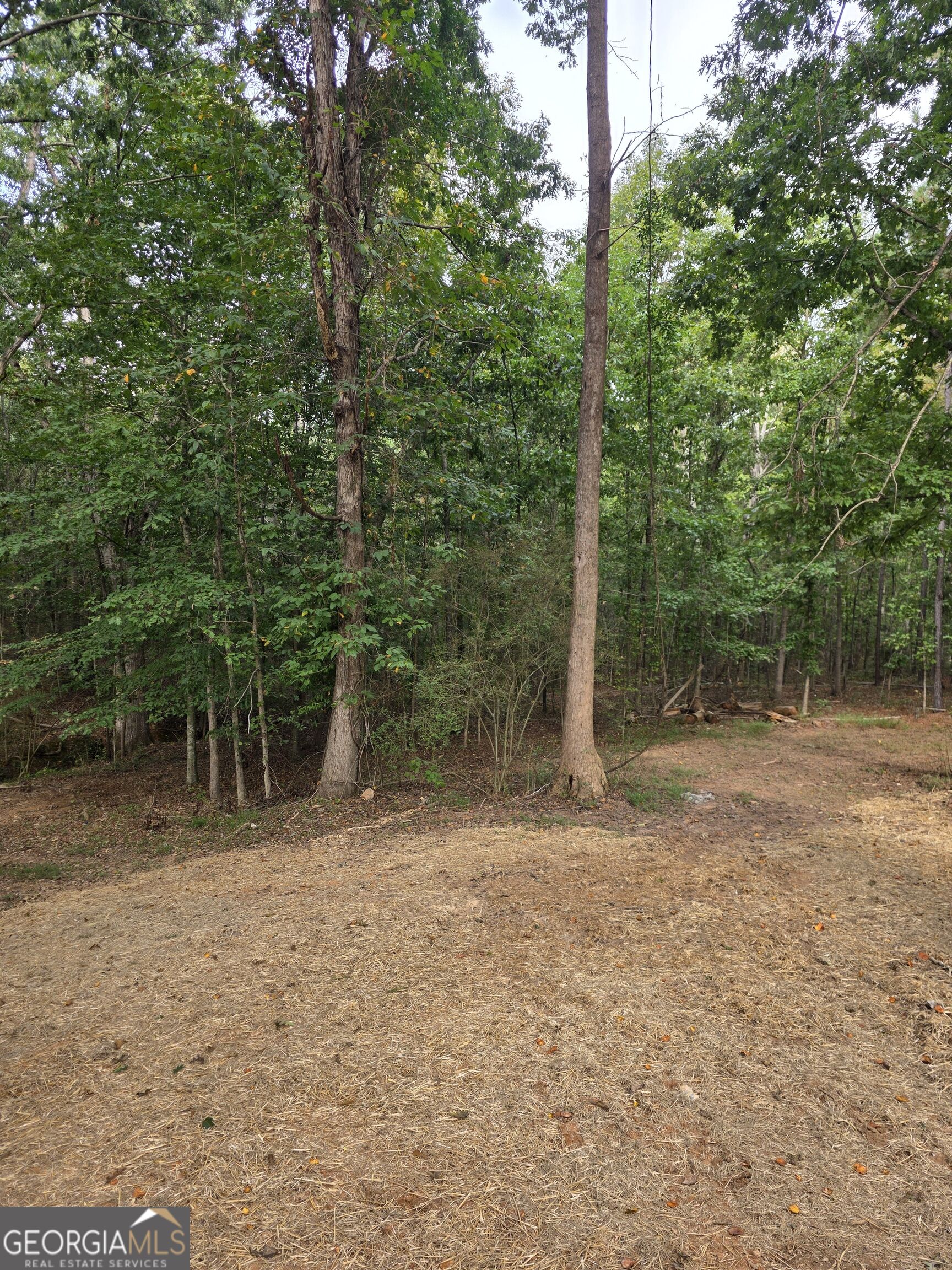 5025 Smokey Road Property Photo 19