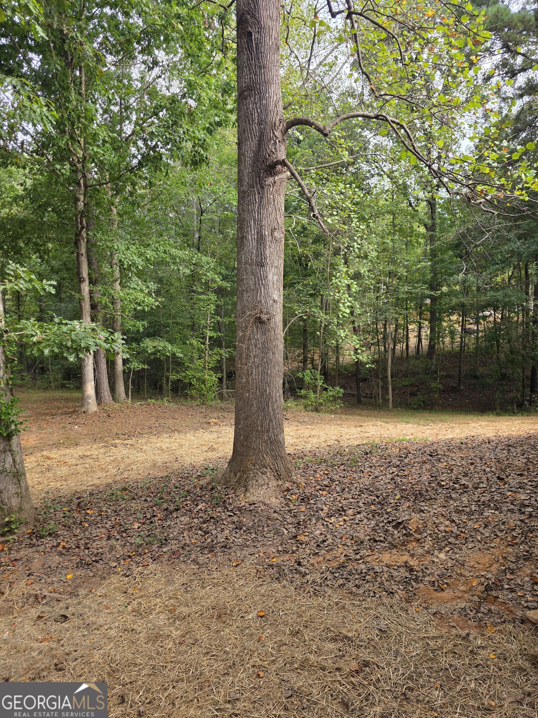 5025 Smokey Road Property Photo 20