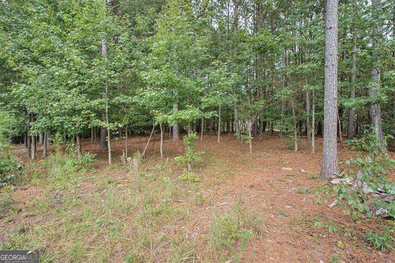 32 Meadow View Glen Property Photo 45