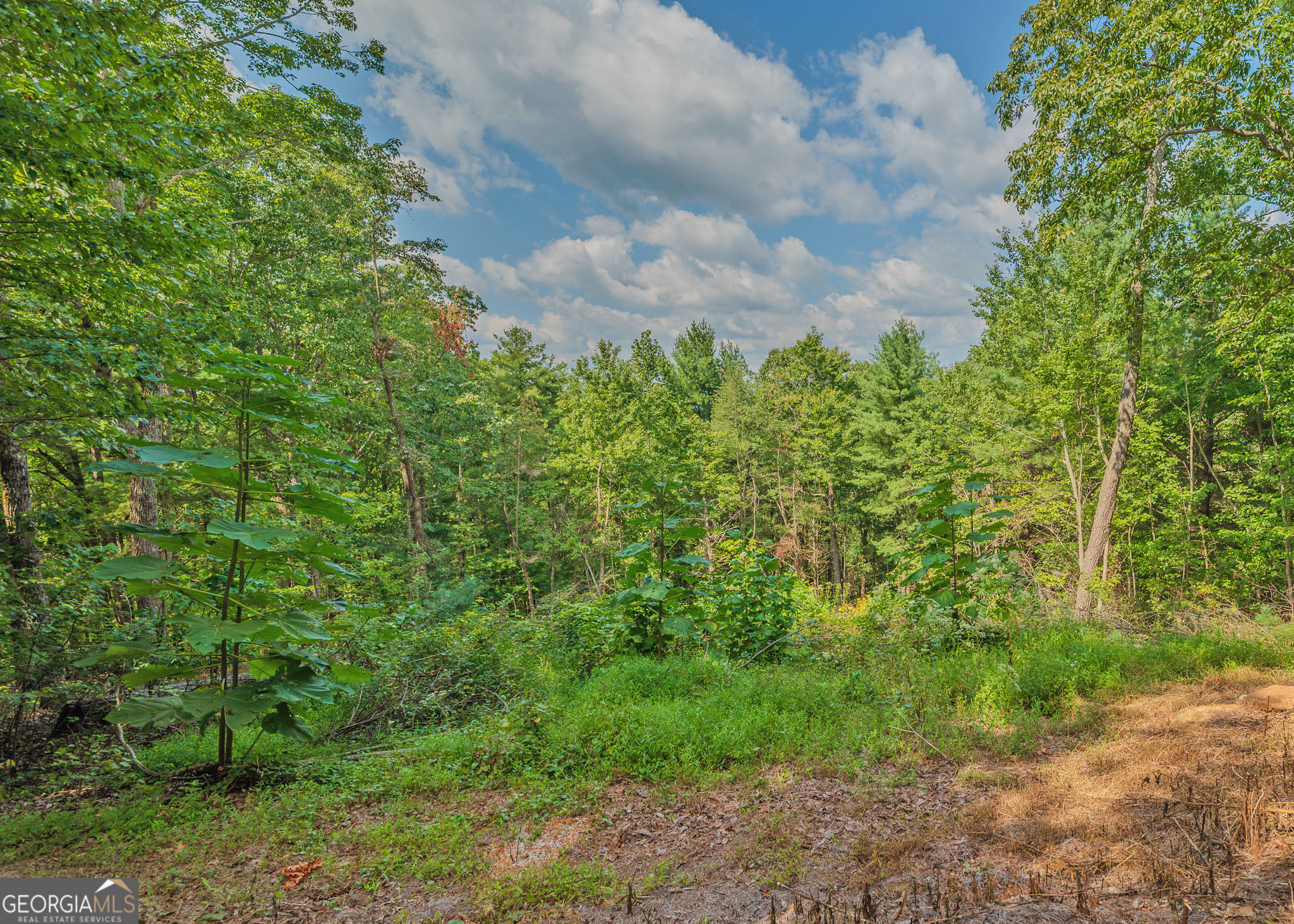 315 Skyview Circle Property Photo 11