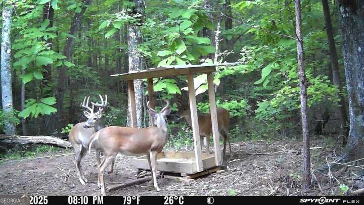 132 Acres Carlisle Gap Road Property Photo 1