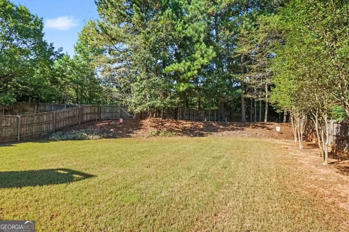 3350 Bridge Walk Lane Property Photo 42